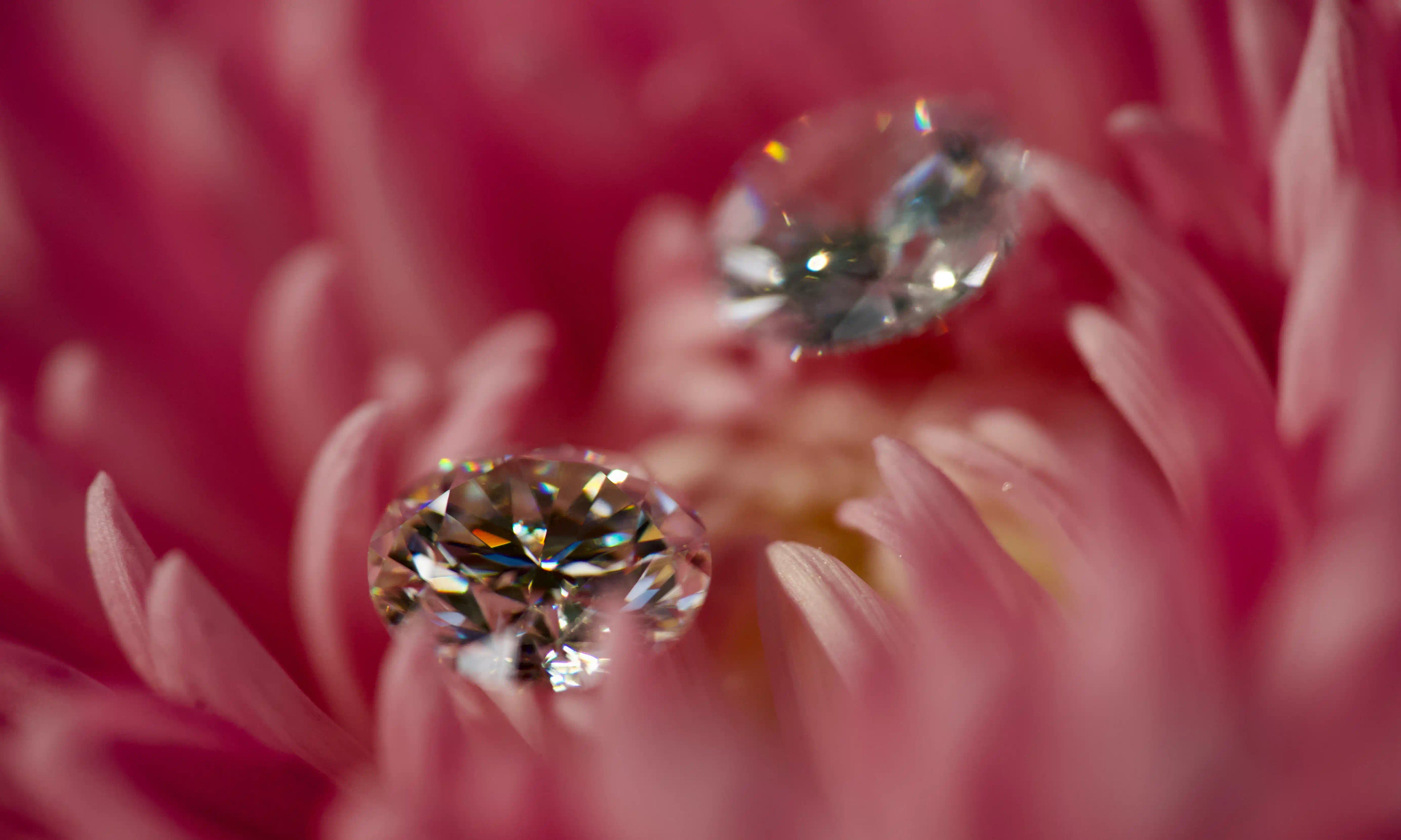 Makroaufnahme eines stark funkelnden Moissanite auf einer rosa Blüte im echten Licht fotografiert – intensive Brillanz und diamantähnliches Funkeln im direkten Vergleich.