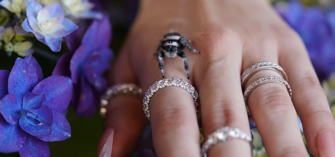 Moissanite Solitaire oder Eternity Ring – Bedeutung & Unterschiede