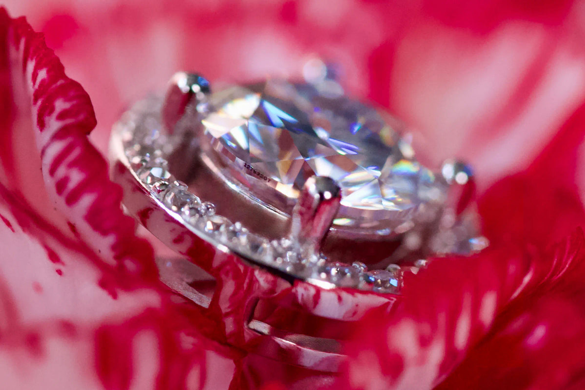 Nummer auf dem Moissanite Brillanten, in einem Ohrstecker Halo Gefasst
