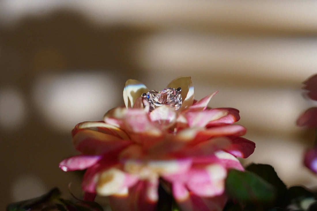 Auffälliger Moissanite Herz Ohrstecker versteckt hinter eine Rose