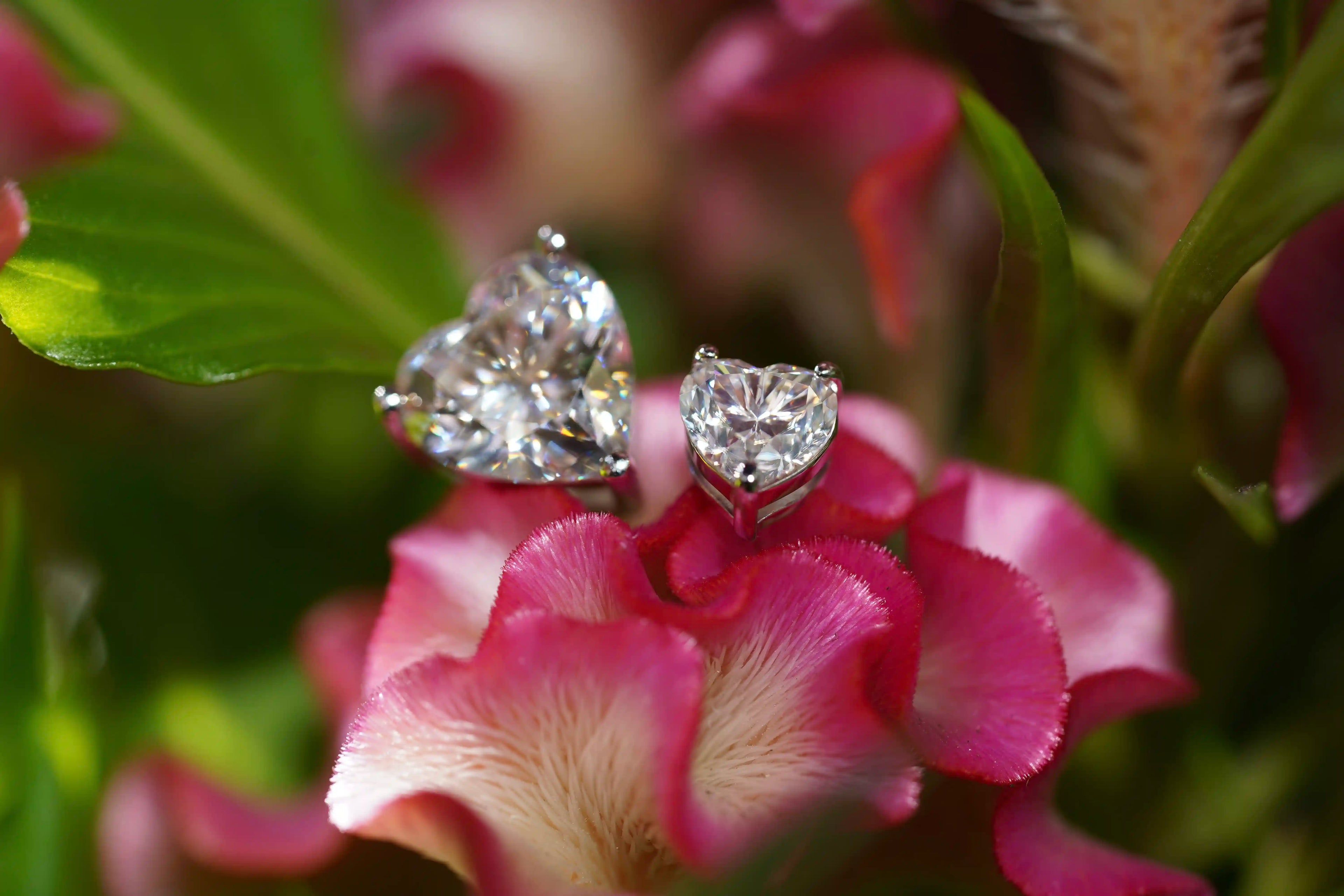 Funkelnde Moissanite Herz Ohrringe als Schmuck Geschenkidee auf einer Blüte
