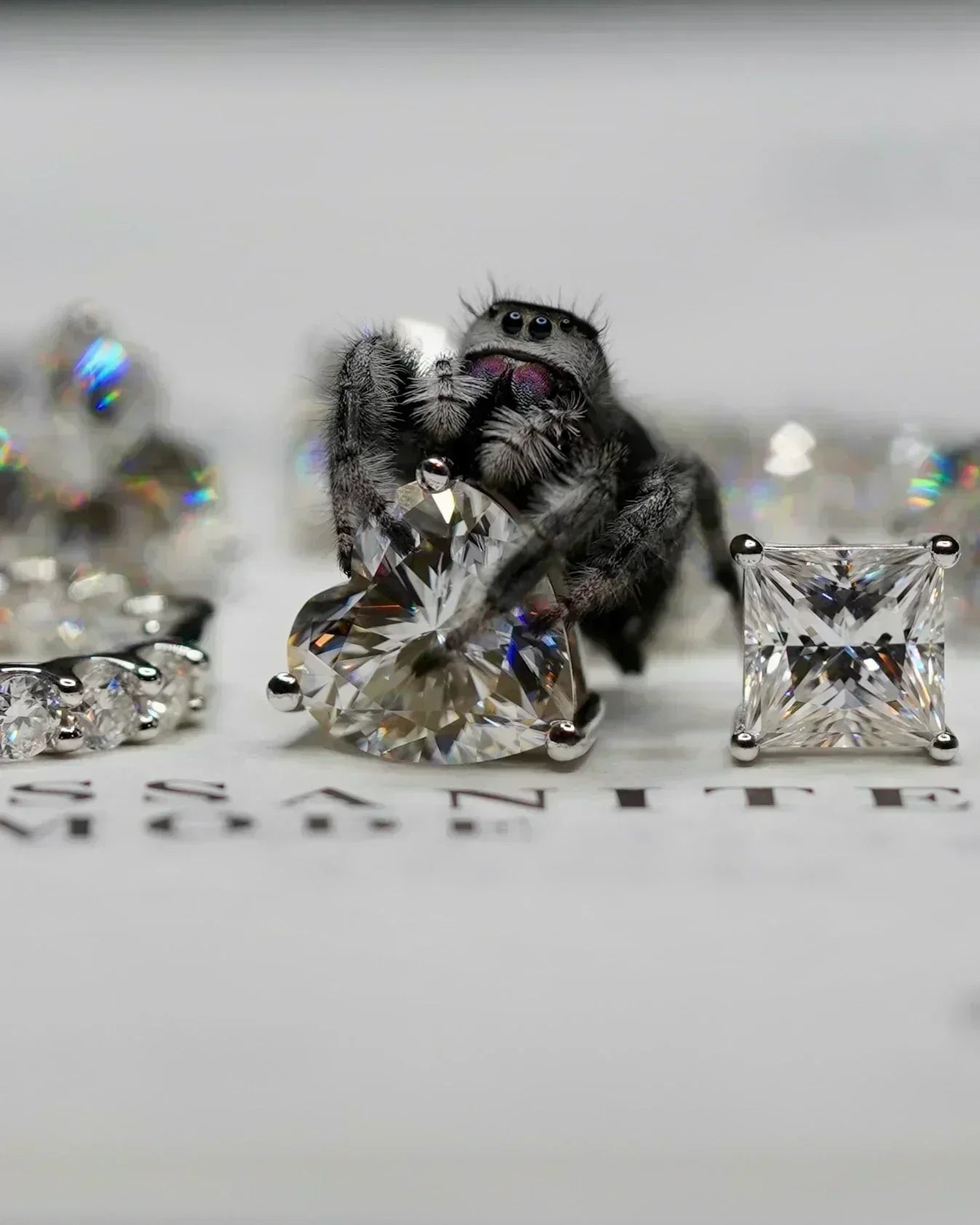 Moissanite Edelstein im Vergleich verschiedener Schliffe Makroaufnahme