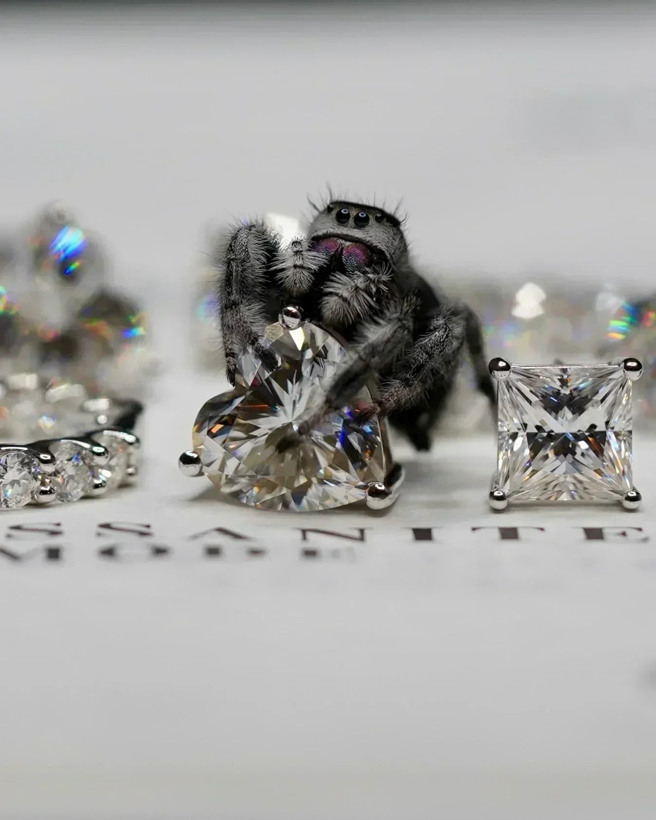 Moissanite Edelstein im Vergleich verschiedener Schliffe Makroaufnahme