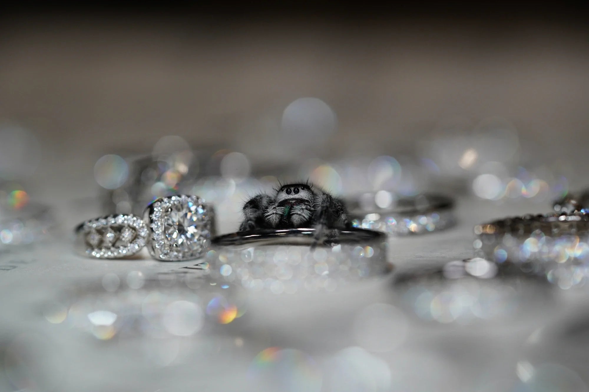 Funkelnder Moissanite Ring aus Sterling Silber umring von Wassertropfen