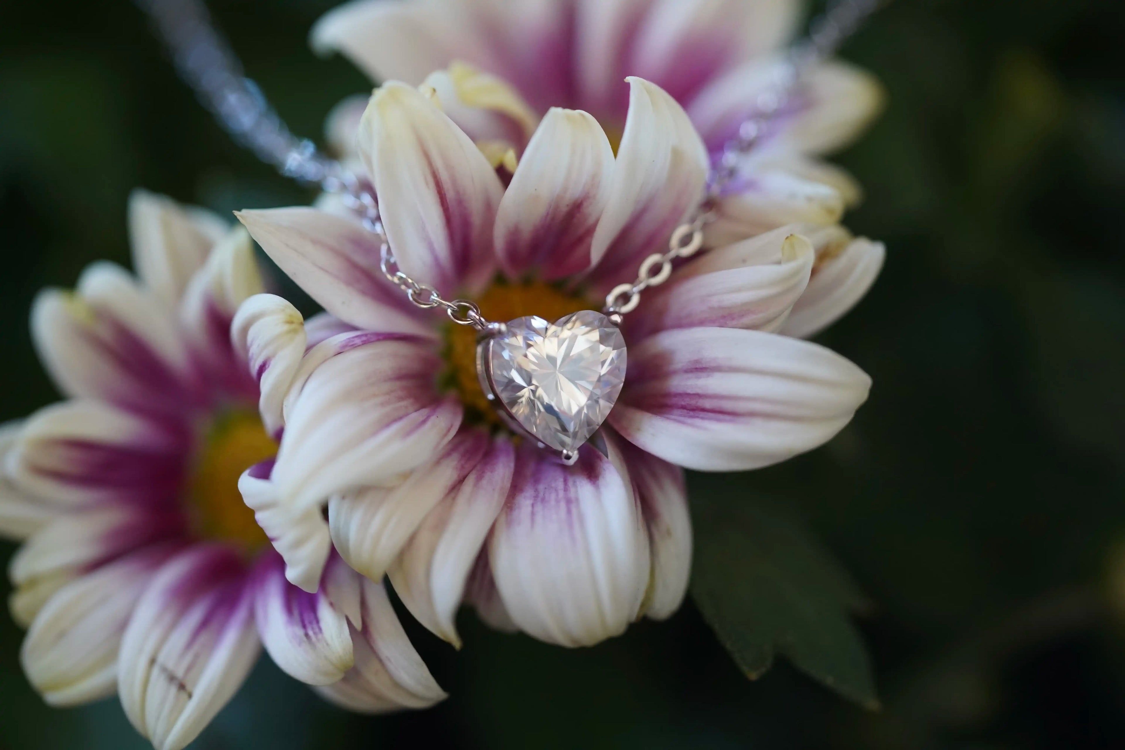 Moissanite Schmuck in Herz form gefasst in einer Sterling Silber Kette und veredelt mit 18k Weißgold 