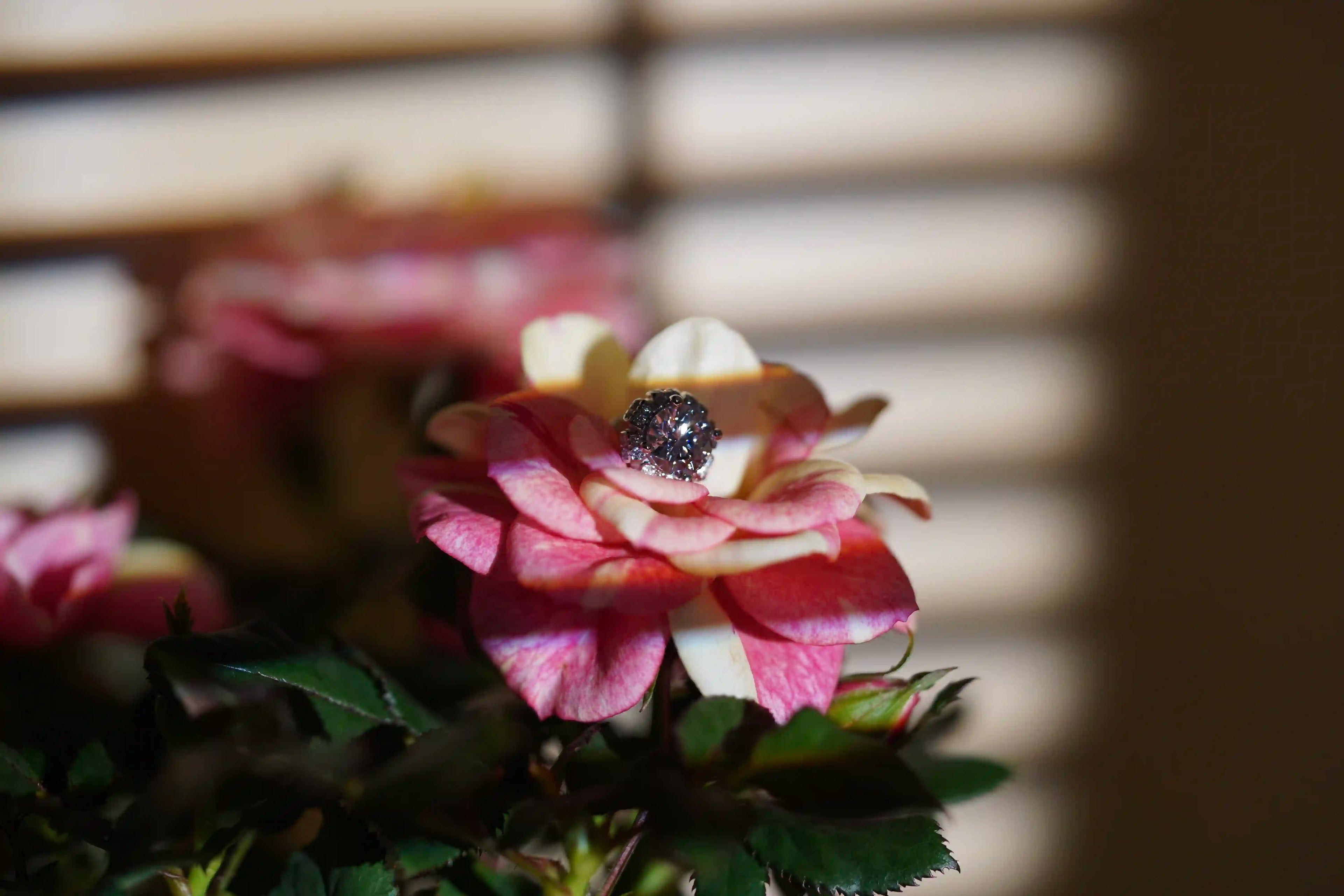 Moissanite Ohrringe aus Silber mit Schraubverschluss für Damen und Zirkona Seitensteinen