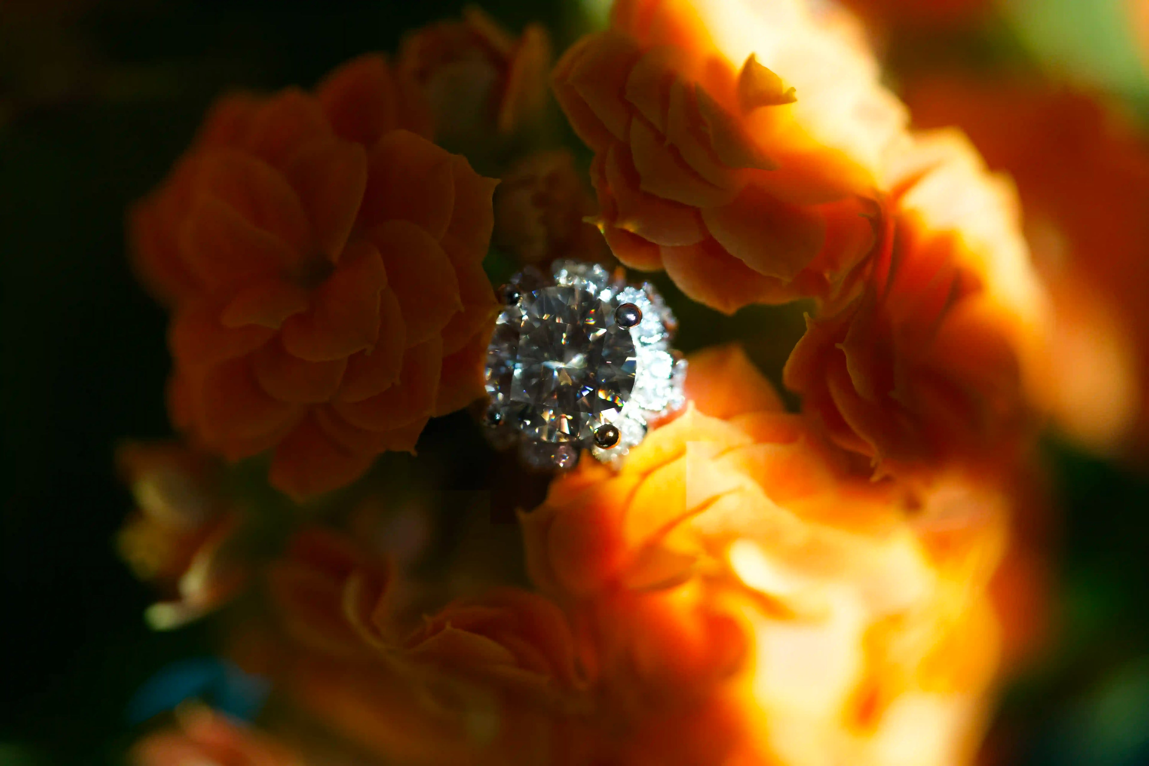 Im Schatten strahlende Moissanite Schmuck Ohrstecker mit Schraubverschluss 