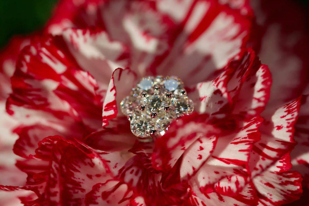 Echte Fotos von 3 mm Moissanite Cluster Ohrsteckern im echten Licht. Stärkeres Funkeln als bei Diamanten mit diamantähnlicher Härte für langlebigen Glanz im Alltag. Funkelnde Cluster Ohrstecker aus 925 Silber und Weißgold als besonderes Geschenk das in Erinnerung bleibt.
