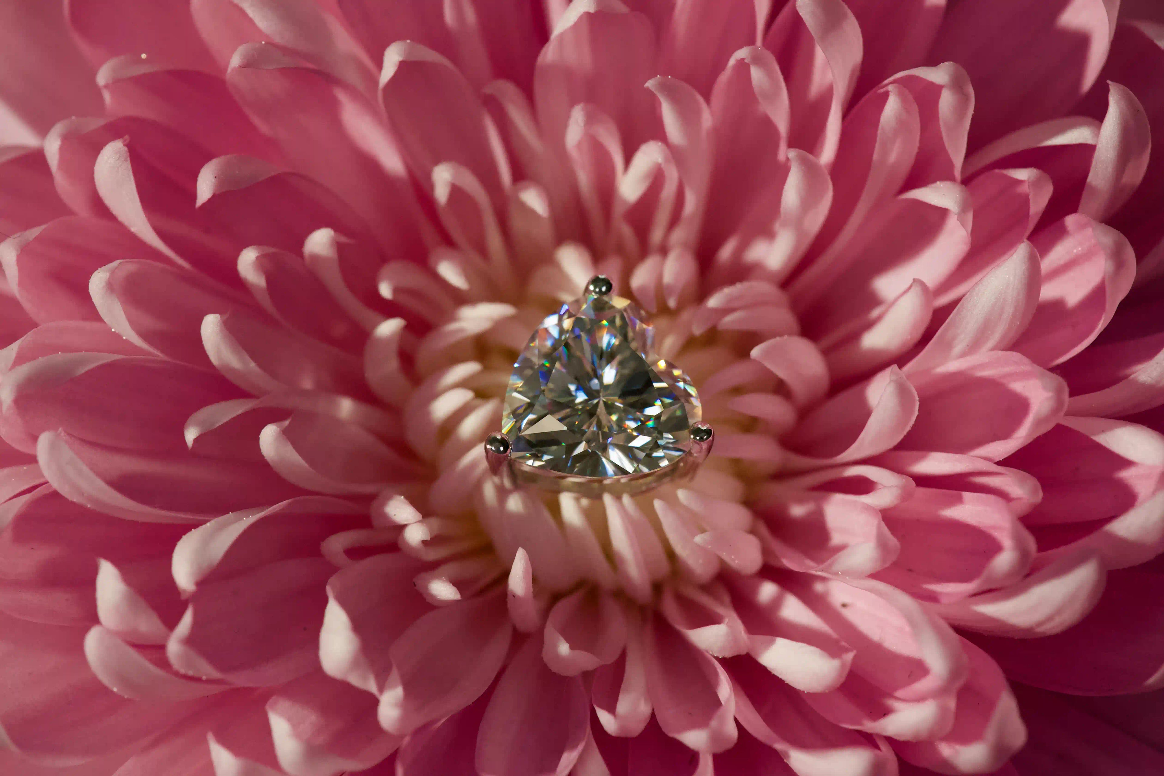 Echte Fotos von extrem stark funkelnden Herzschliff Moissanite Ohrsteckern im echten Licht fotografiert – stärkeres Funkeln als Diamant mit intensiver Brillanz und Feuer.
