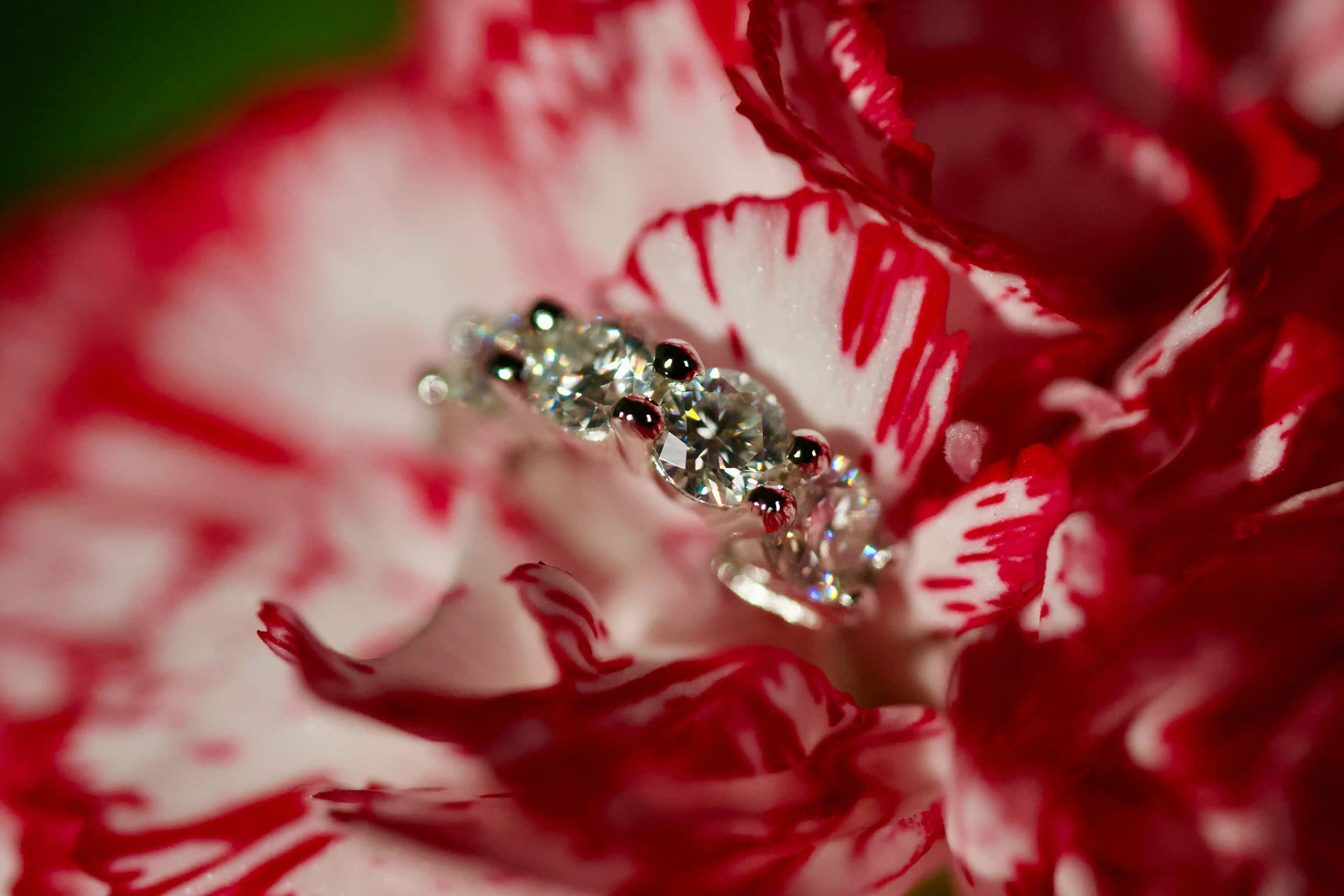 Echte Fotos von kleinen Moissanite Huggie Creolen Ohrsteckern mit 3 mm Moissanite Steinen innen und außen rundum besetzt. Stärkeres Funkeln als bei Diamanten im echten Licht trifft auf diamantähnliche Härte für robustes Tragen im Alltag. Kleine funkelnde Huggie Creolen aus 925 Silber und Weißgold als Geschenk das lange in Erinnerung bleibt.