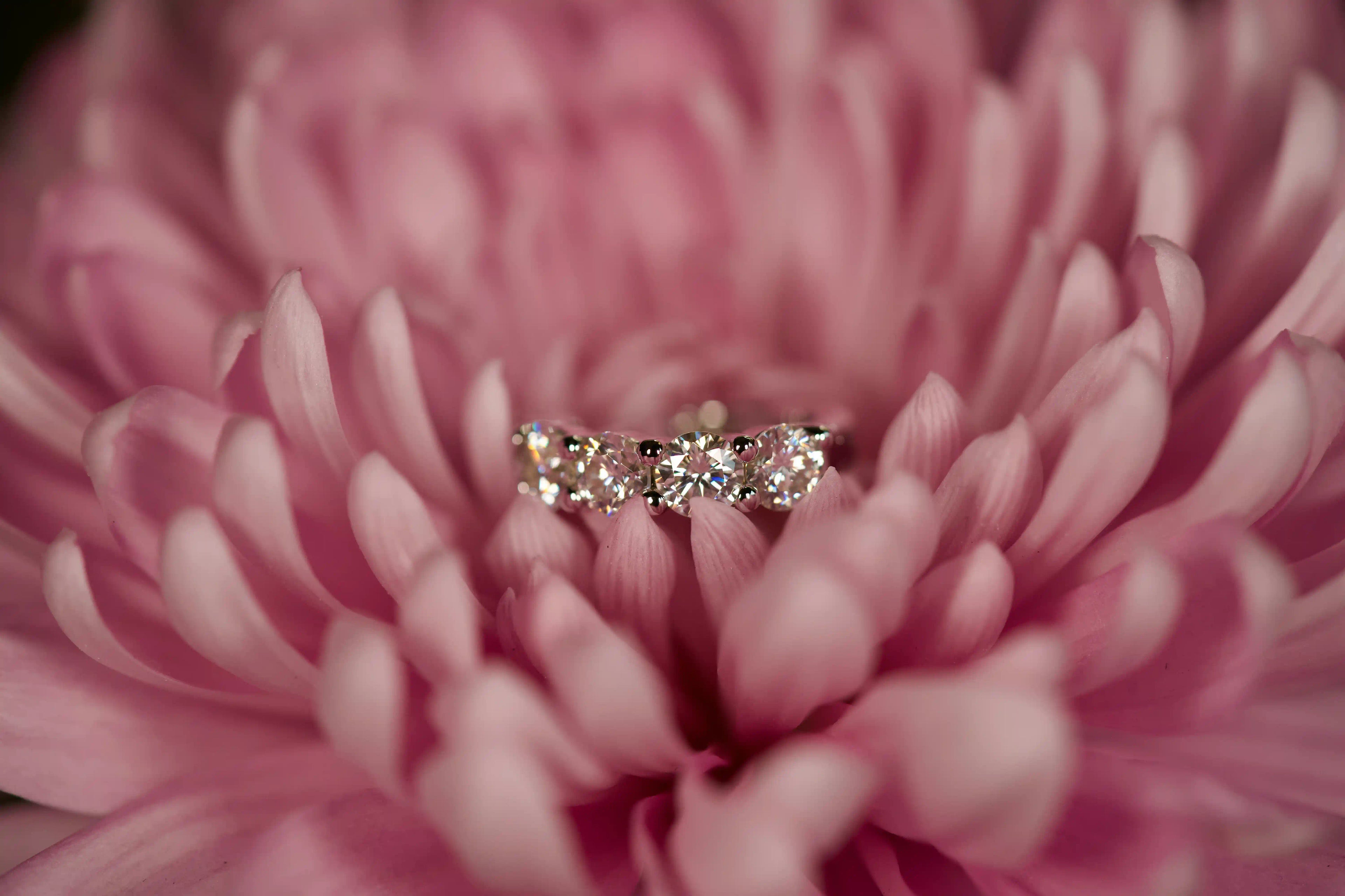 Echte Fotos von kleinen Moissanite Mini Creolen Huggie Ohrsteckern im echten Licht. Stärkeres Funkeln als bei Diamanten mit intensivem Feuer und diamantähnlicher Härte für langlebigen Glanz im Alltag. Kleine funkelnde Huggie Ohrstecker aus 925 Silber und 18K Weißgold als besonderes Geschenk das lange in Erinnerung bleibt.