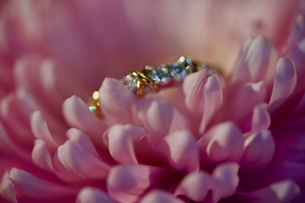 Echte Fotos von 2,5mm Moissanit Creolen in 925 Silber mit Weißgold und Gelbgold auf rosa Blüte. Unscharfer Hintergrund für Fokus auf das starke Funkeln im echten Licht, stärker als Diamanten, langlebig und auffällig im Alltag.