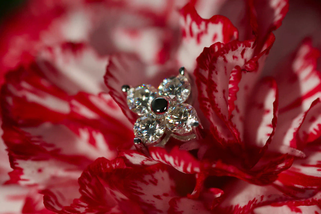 Echte Fotos von Moissanite Blumen Ohrsteckern im echten Licht. Stärkeres Funkeln als bei Diamanten trifft auf diamantähnliche Härte für langlebigen Glanz im Alltag. Funkelnde Blumen Ohrstecker aus 925 Silber und Weißgold als besonderes Geschenk das lange in Erinnerung bleibt.