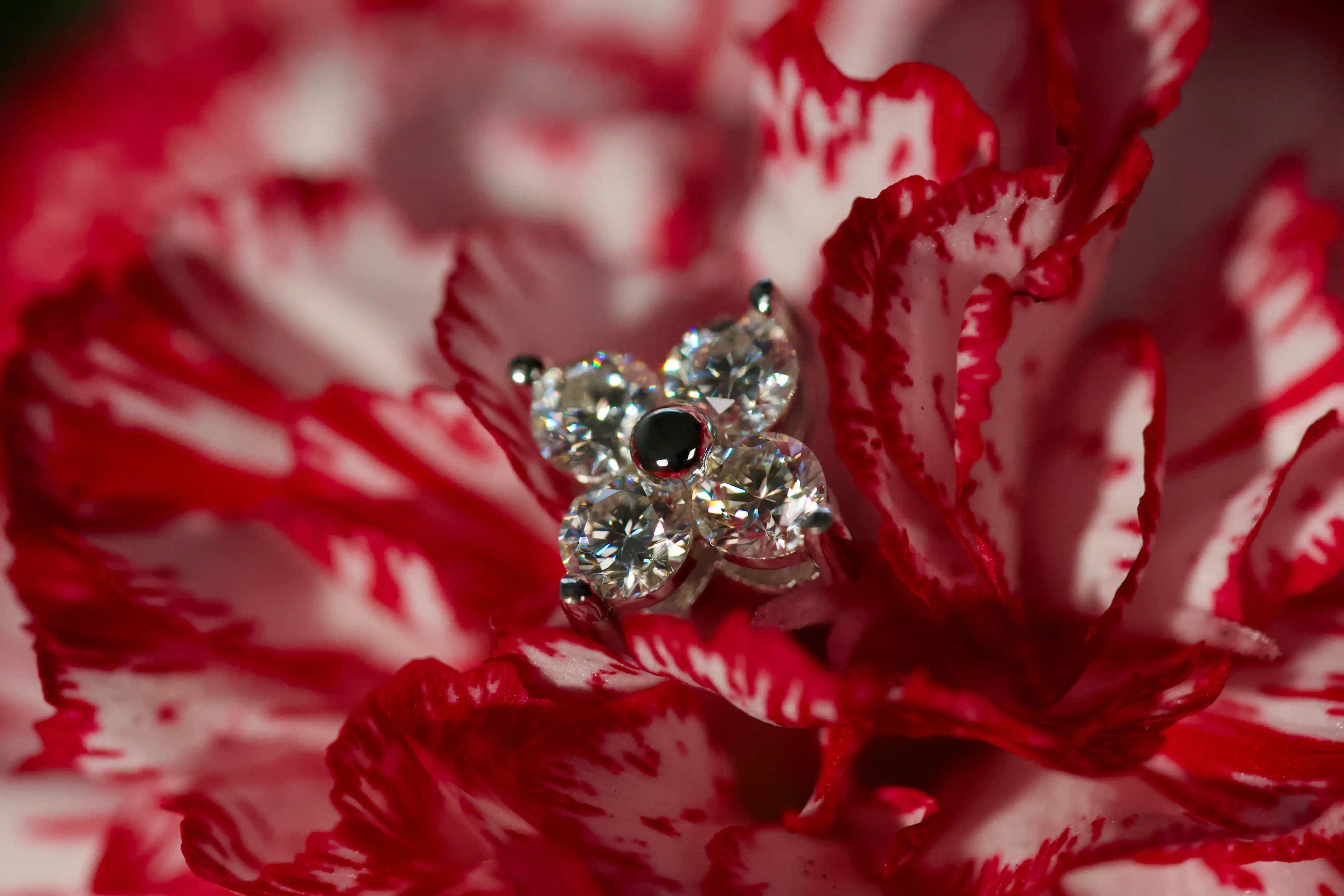 Echte Fotos von Moissanite Blumen Ohrsteckern im echten Licht. Stärkeres Funkeln als bei Diamanten trifft auf diamantähnliche Härte für langlebigen Glanz im Alltag. Funkelnde Blumen Ohrstecker aus 925 Silber und Weißgold als besonderes Geschenk das lange in Erinnerung bleibt.