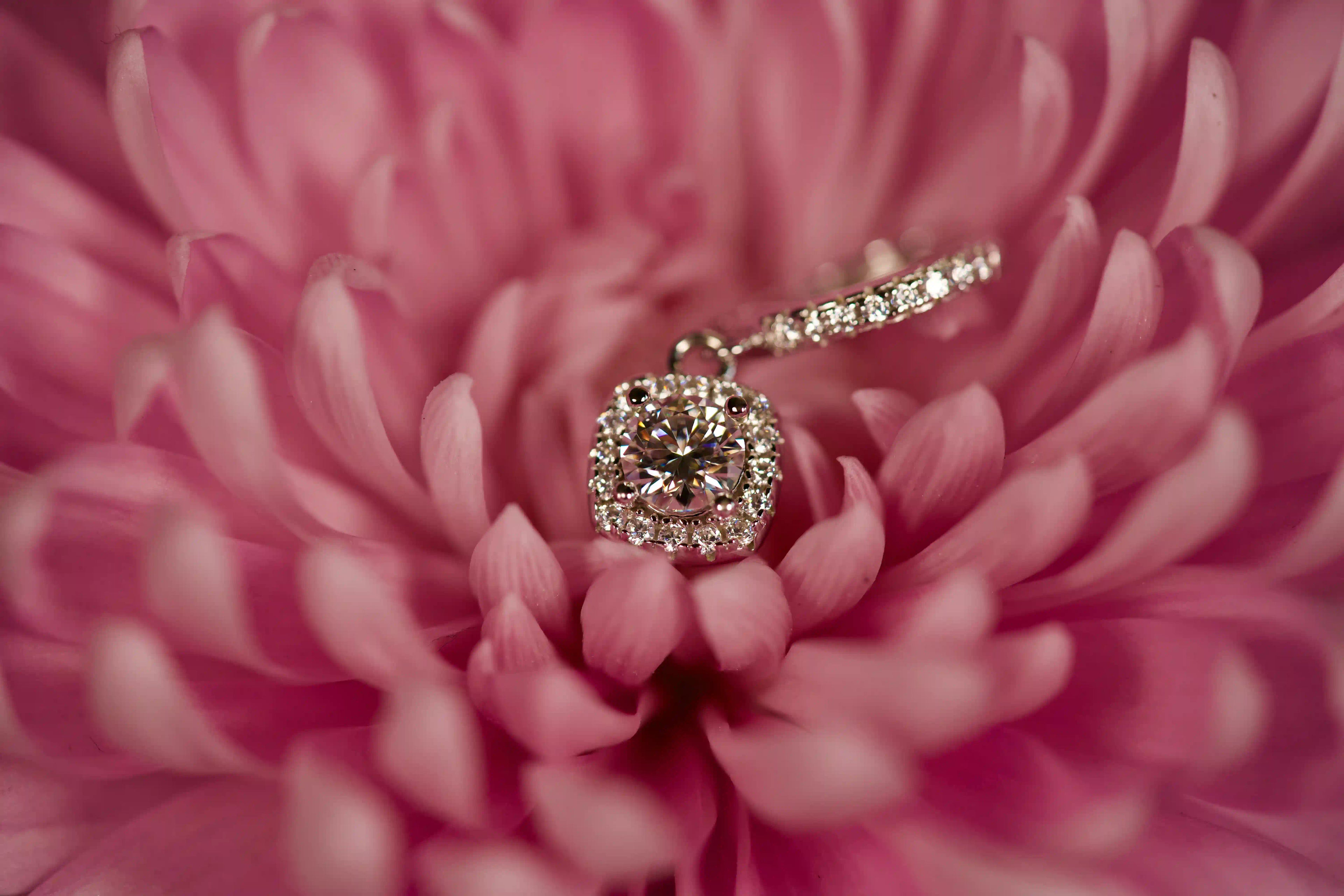 Echte Fotos von Moissanite Creolen mit 0,5 ct Halo Anhänger im echten Licht. Stärkeres Funkeln als bei Diamanten durch beweglichen Halo Anhänger und funkelnde Nebensteine mit diamantähnlicher Härte für langlebigen Glanz im Alltag. Elegante Creolen aus 925 Silber und Weißgold als besonderes Geschenk das lange in Erinnerung bleibt.