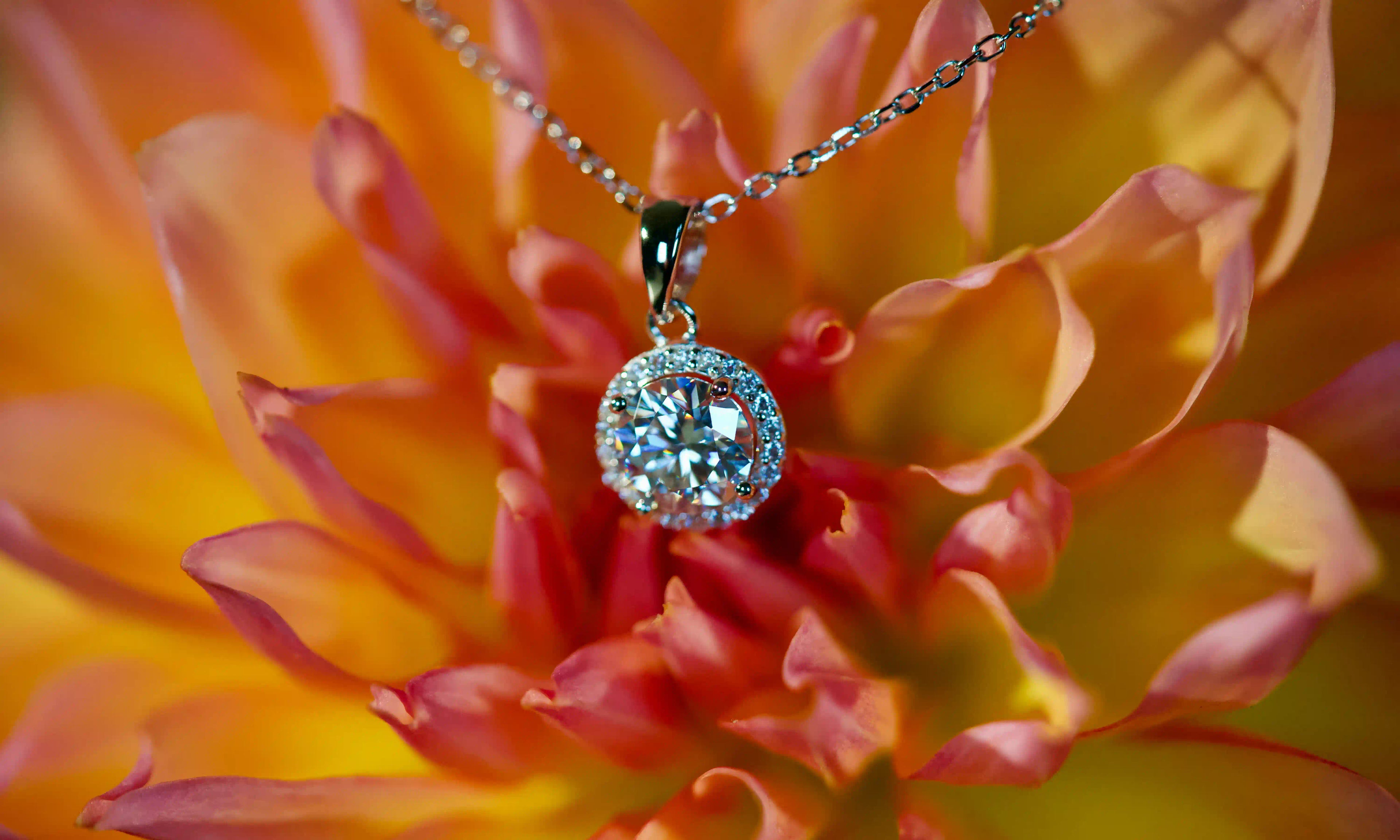 Echte Fotos von Moissanite Halo Anhänger Kette mit 1ct Stein im echten Licht. Intensives Funkeln stärker als bei Diamanten mit sichtbarem Regenbogen Feuer durch den runden Halo Anhänger. Elegante Moissanite Kette aus 925 Silber und 18K Weißgold mit diamantähnlicher Härte als luxuriöses Geschenk für jeden Tag.
