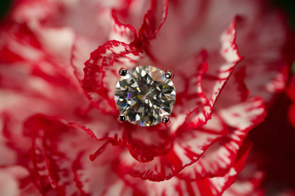 Echte Fotos von runden Moissanite Ohrsteckern mit Brillantschliff auf roter Blume im echten Licht. Funkelt stärker als Diamanten, mit diamantähnlicher Härte langlebig im Alltag und perfekt als besonderes Geschenk.