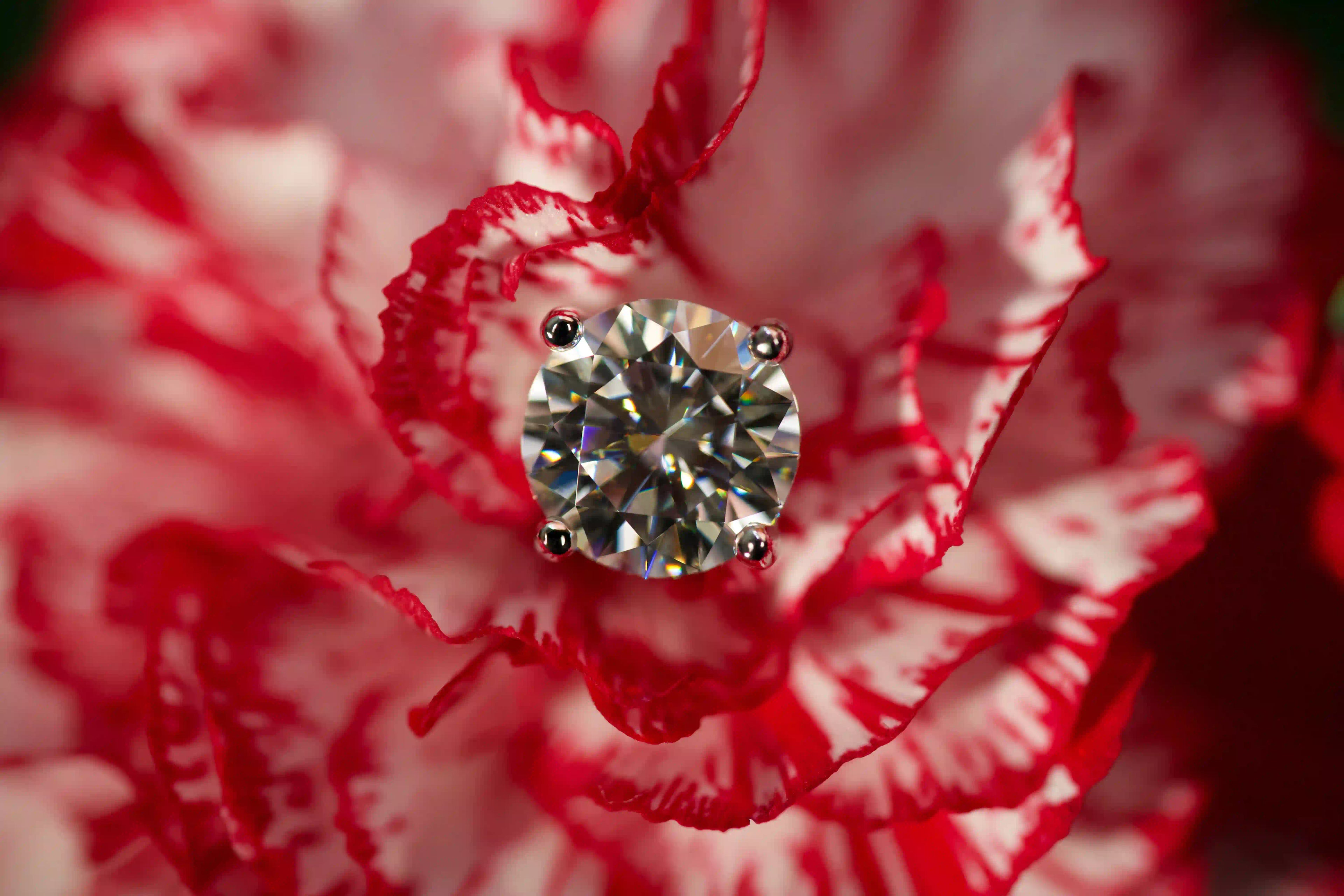 Echte Fotos von runden Moissanite Ohrsteckern mit Brillantschliff auf roter Blume im echten Licht. Funkelt stärker als Diamanten, mit diamantähnlicher Härte langlebig im Alltag und perfekt als besonderes Geschenk.
