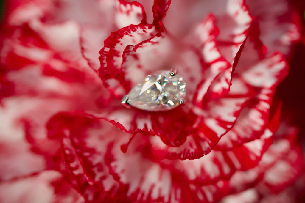 Echte Fotos von Moissanite Tropfen Ohrsteckern auf roter Blüte im weichen Makro. Unscharfer Hintergrund mit Fokus auf starkes Funkeln im echten Licht, stärker als Diamanten, elegantes Geschenk mit langlebiger Ausstrahlung im Alltag.