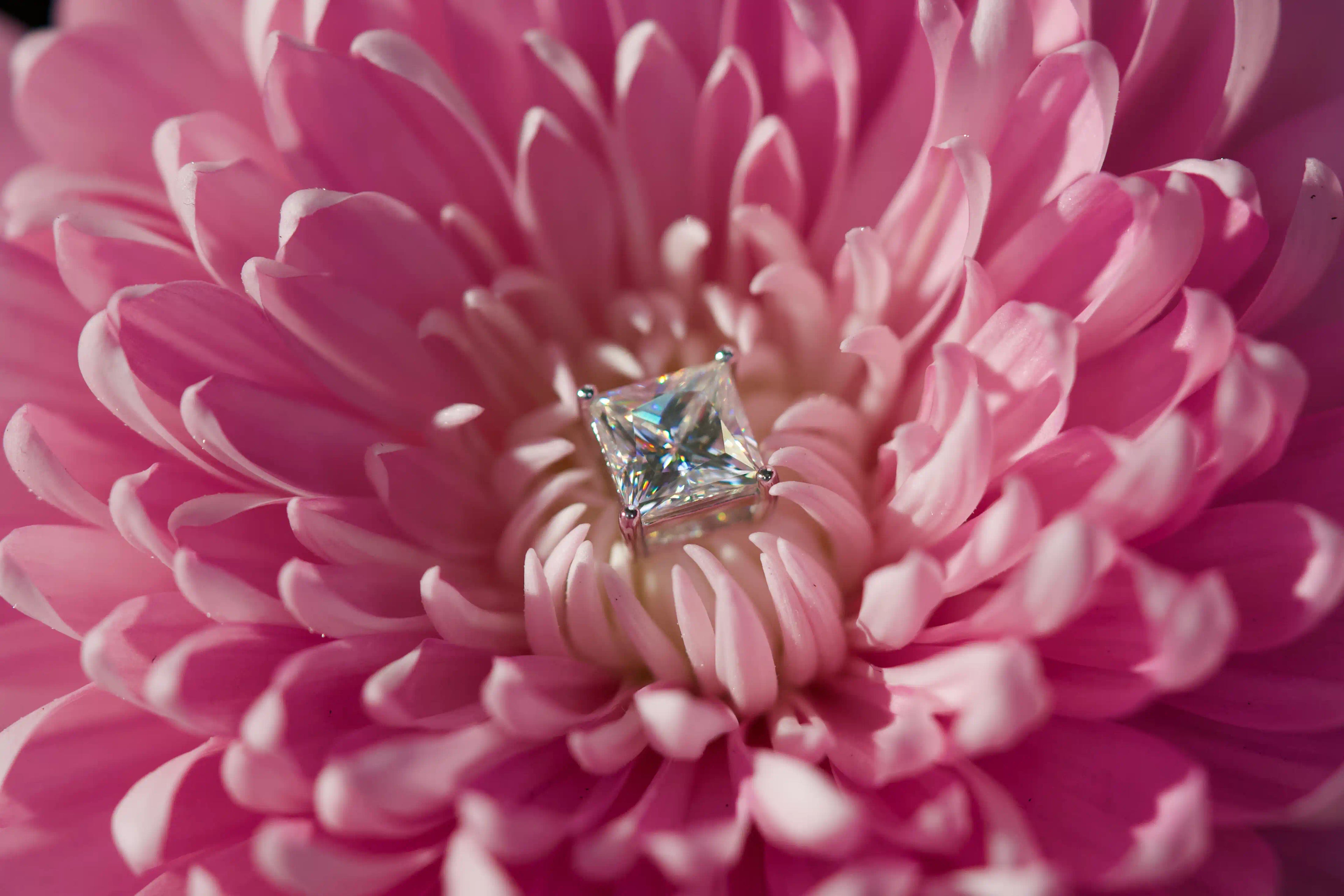 Echte Fotos von stark funkelnden Princess Cut Moissanite Steckern aus einem anderen Winkel im echten Licht fotografiert – 4-Zinken-Fassung mit stärkerem Funkeln als Diamant.