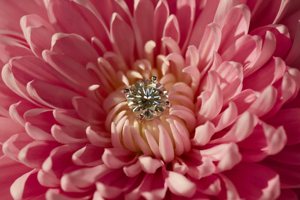 Echte Fotos von runden Moissanite Ohrsteckern mit 4 Haltern im klassischen Brillantschliff aus einem anderen Winkel fotografiert – stark funkelnd im echten Licht mit diamantübertreffender Brillanz.