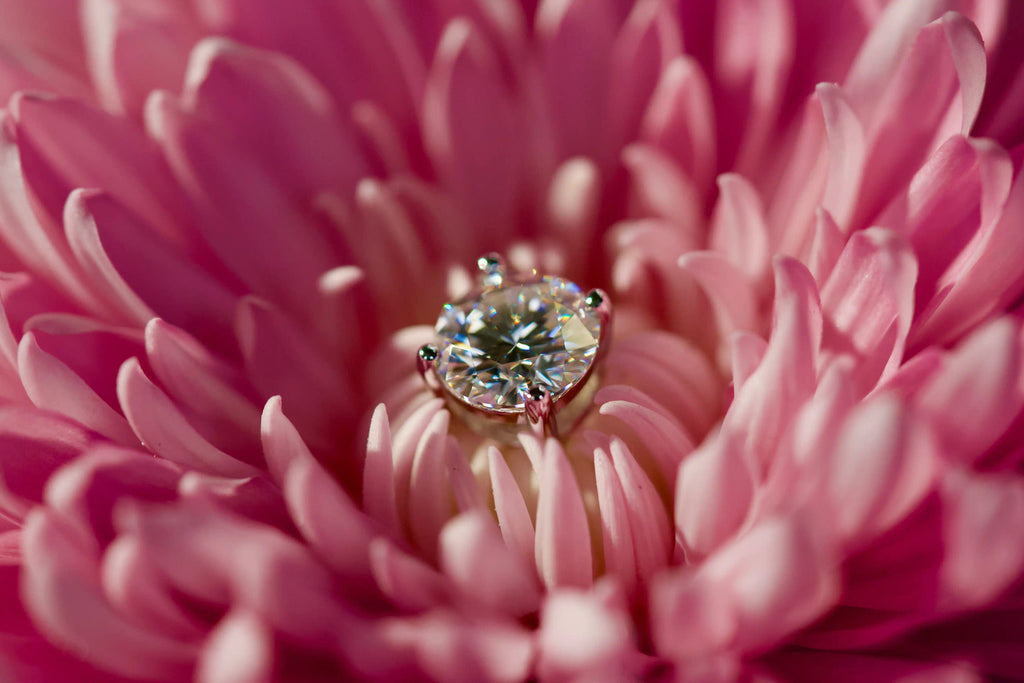 Echte Fotos von stark funkelnden runden Moissanite Ohrsteckern mit 4 Haltern und klassischem Brillantschliff im echten Licht fotografiert – 925 Silber und 18K Weißgold veredelt mit diamantübertreffendem Funkeln.