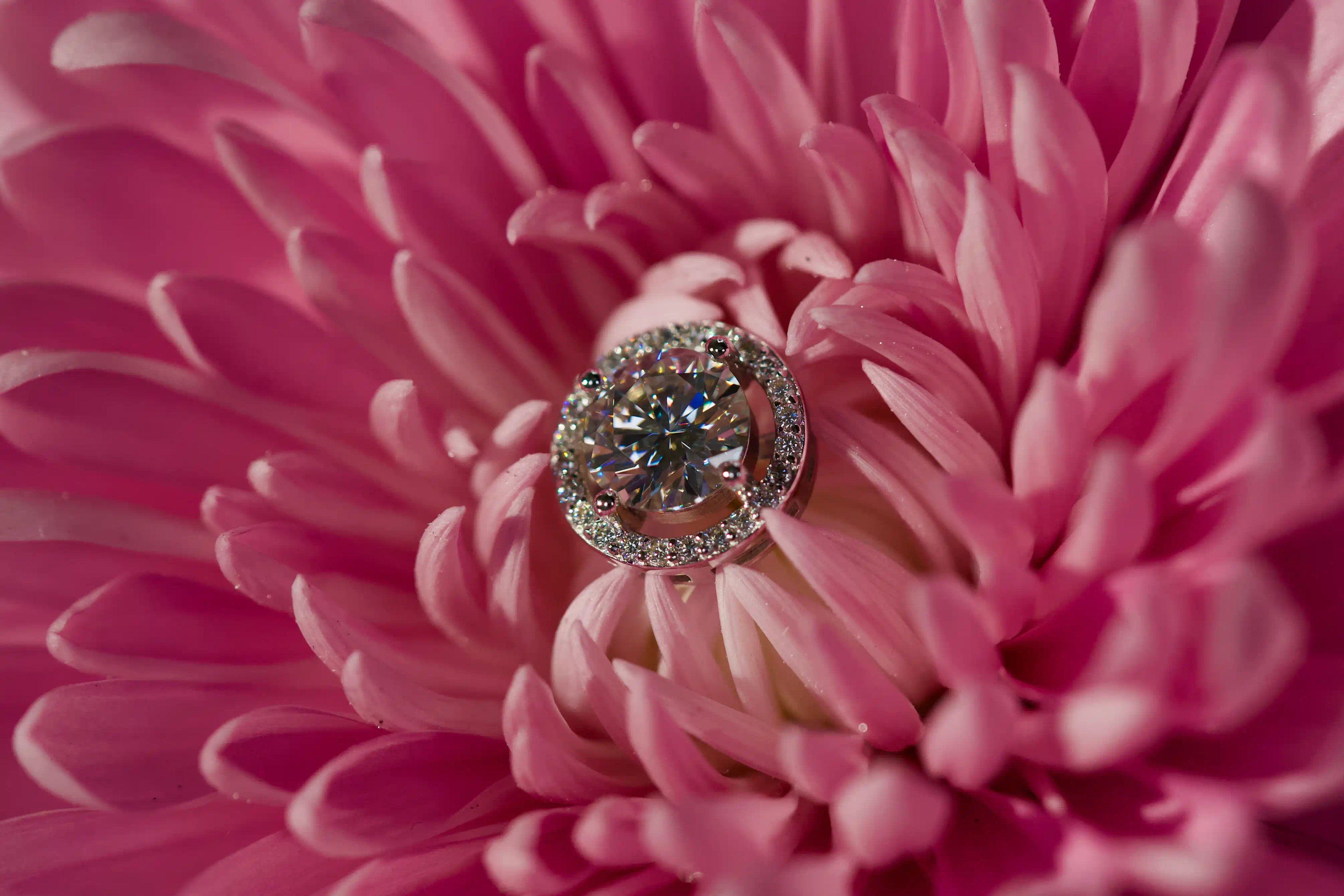 Echte Fotos von stark funkelnden runden Halo Moissanite Ohrsteckern mit 1ct im echten Licht fotografiert – 925 Silber und 18K Weißgold veredelt mit diamantübertreffendem Funkeln.