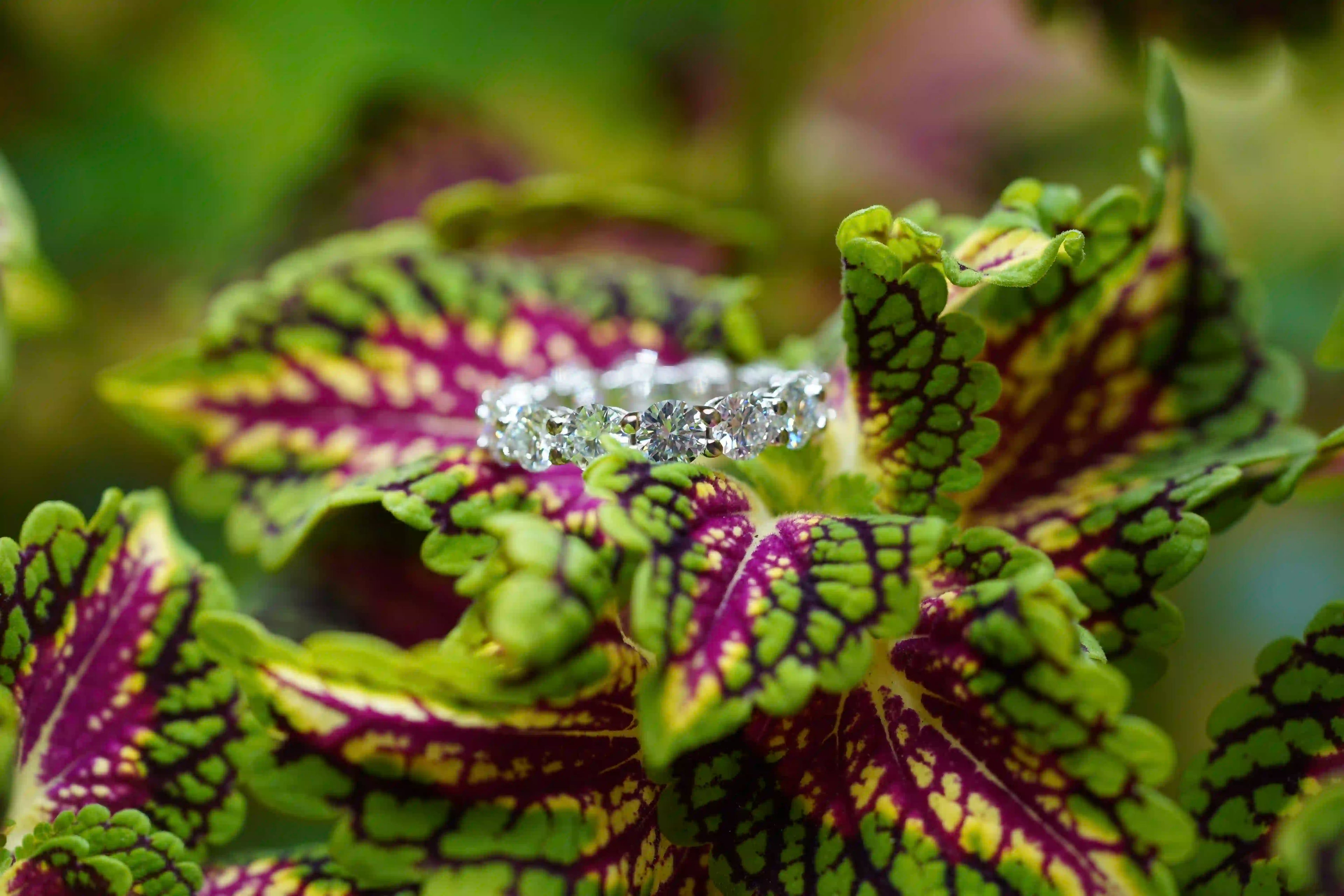 Moissanite Schmuck Ring als Verlobungsring im Eternity design