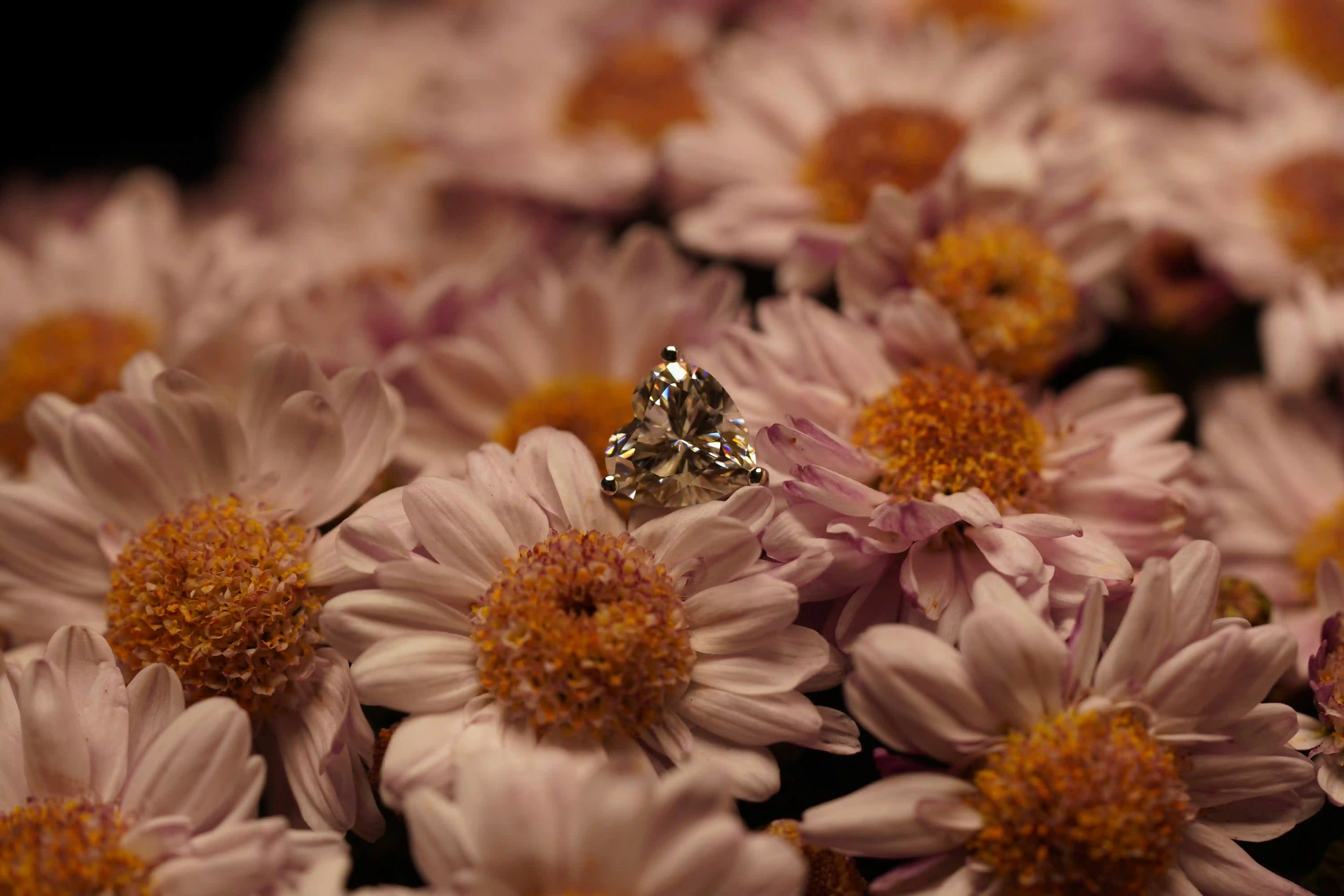 Moissanite Schmuck Herz Ohrringe mit Moissanite Schmuck Stein in Herz schliff gefasst in Sterling Silber und veredelt mit Weißgold