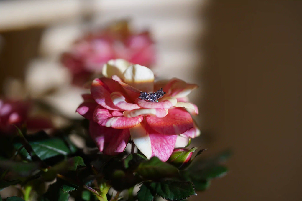 elegante und moderne Moissanite Ohrstecker in einer gebogenen klammer form auf einer Blume