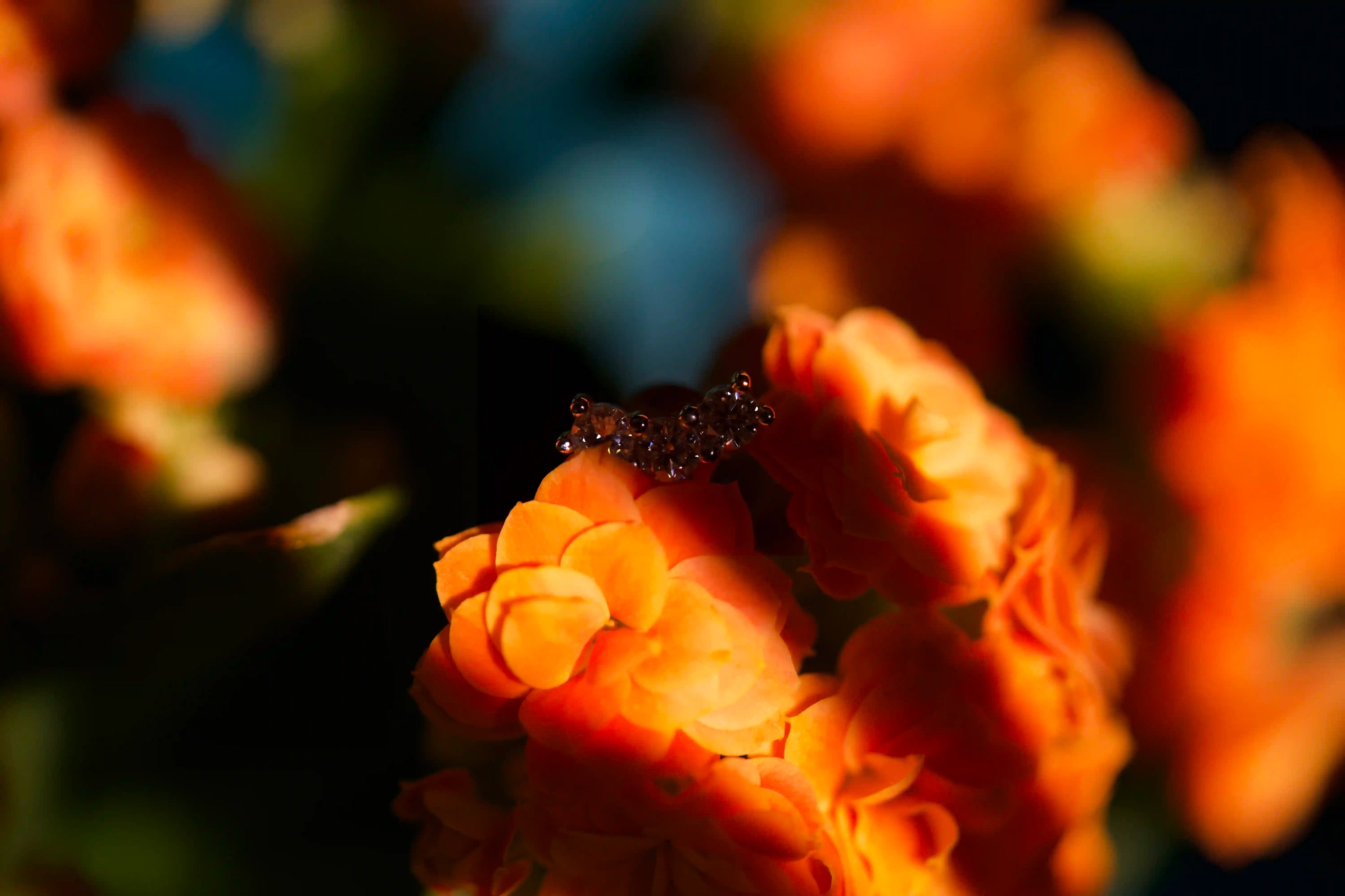Feiner Moissanite Schmuck Ohrstecker mit 3 kleinen Moissanite Steinen in gebogener Reihe