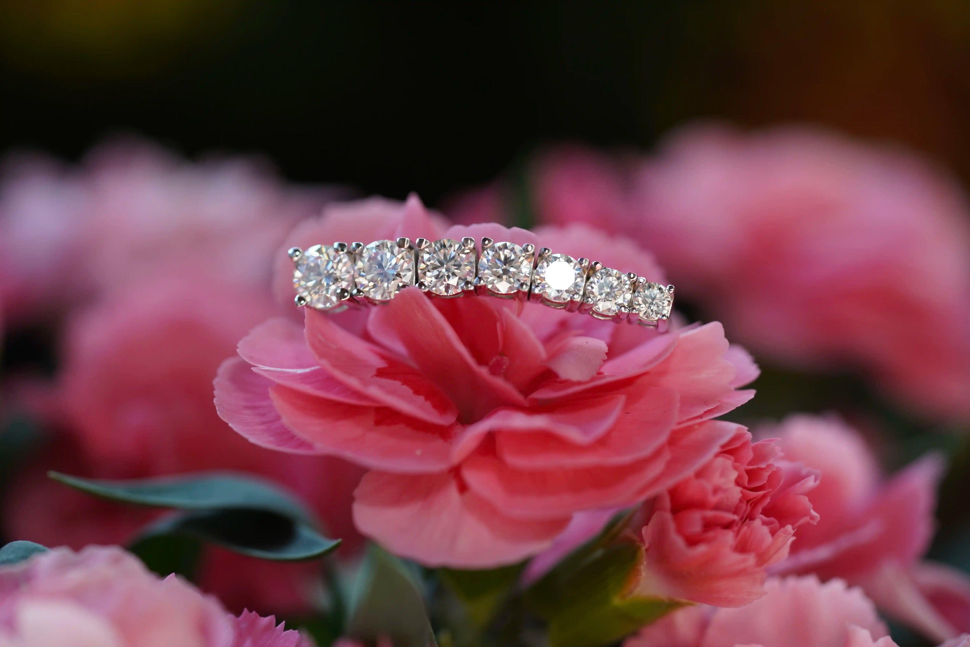 Moissanite Schmuck aus Sterling Silber mit 18k Weißgold Veredelung auf einer Blume abgelegt
