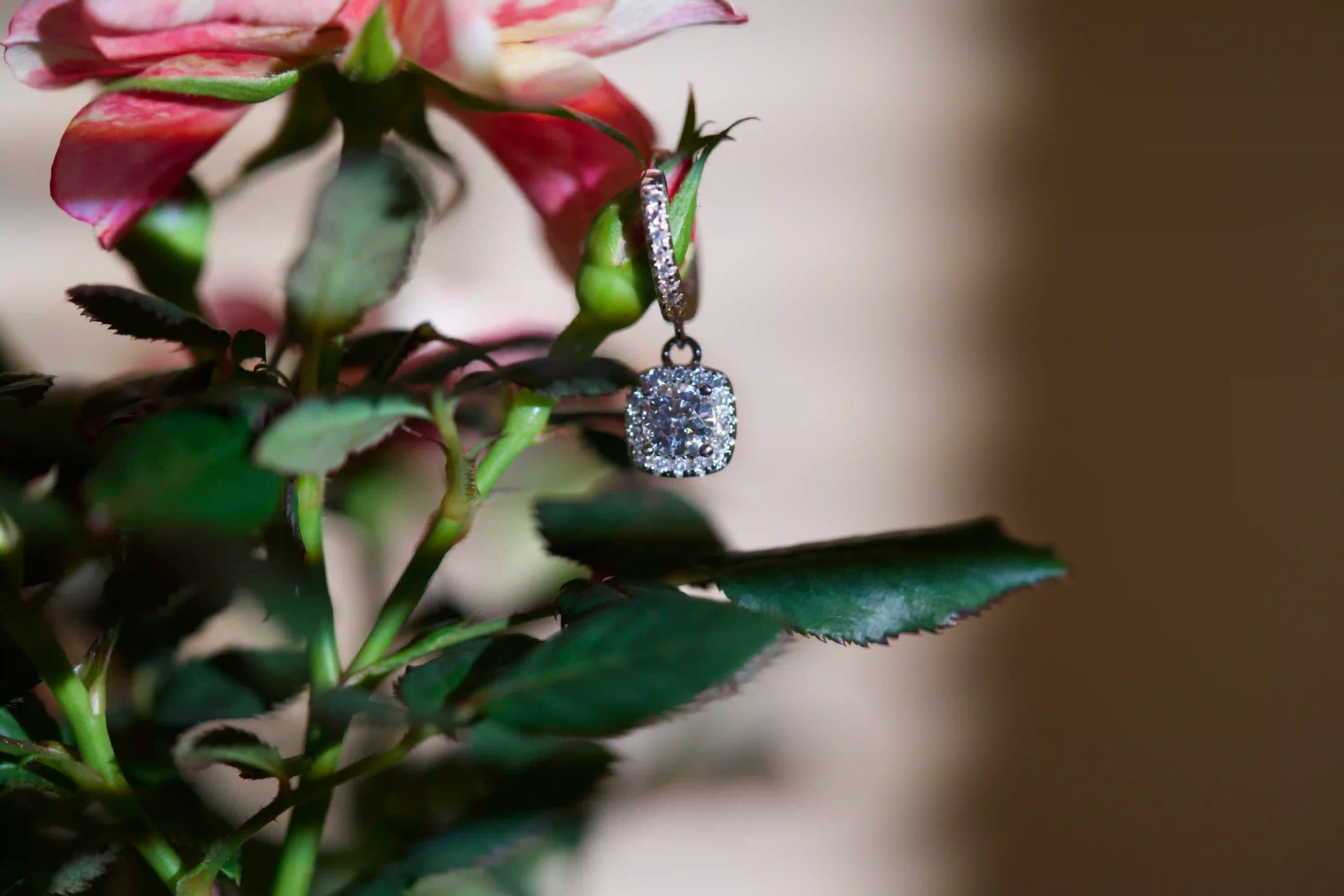 Auffällige Creolen mit 1Ct Moissanite Schmuck Stein und einem Halo aus Zirkonia Steinen rund herum