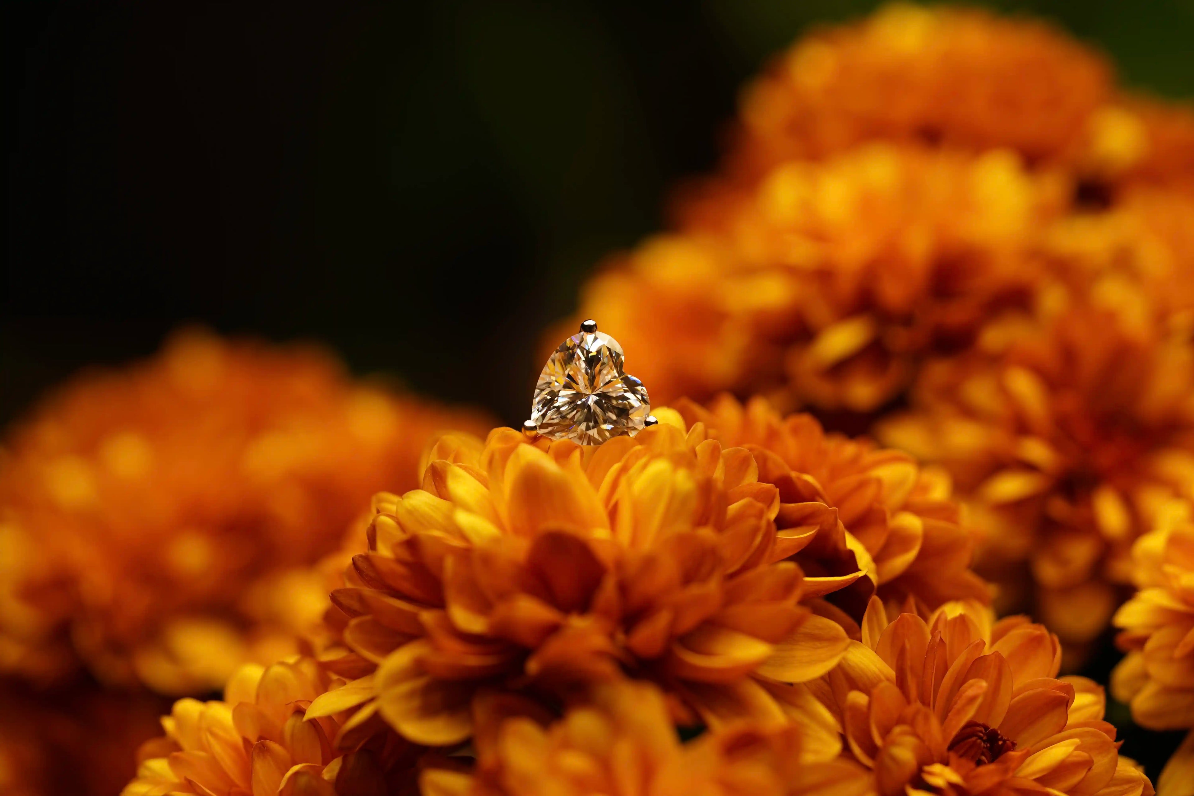 Moissanite Schmuck Ohrringe mit Moissanite Stein in herz schliff gefasst in Sterling Silber und veredelt mit Weißgold