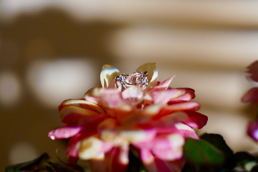 Moissanite Herz Schmuck Ohrstecker aus Sterling Silber für Damen auf einer Blume abgelegt