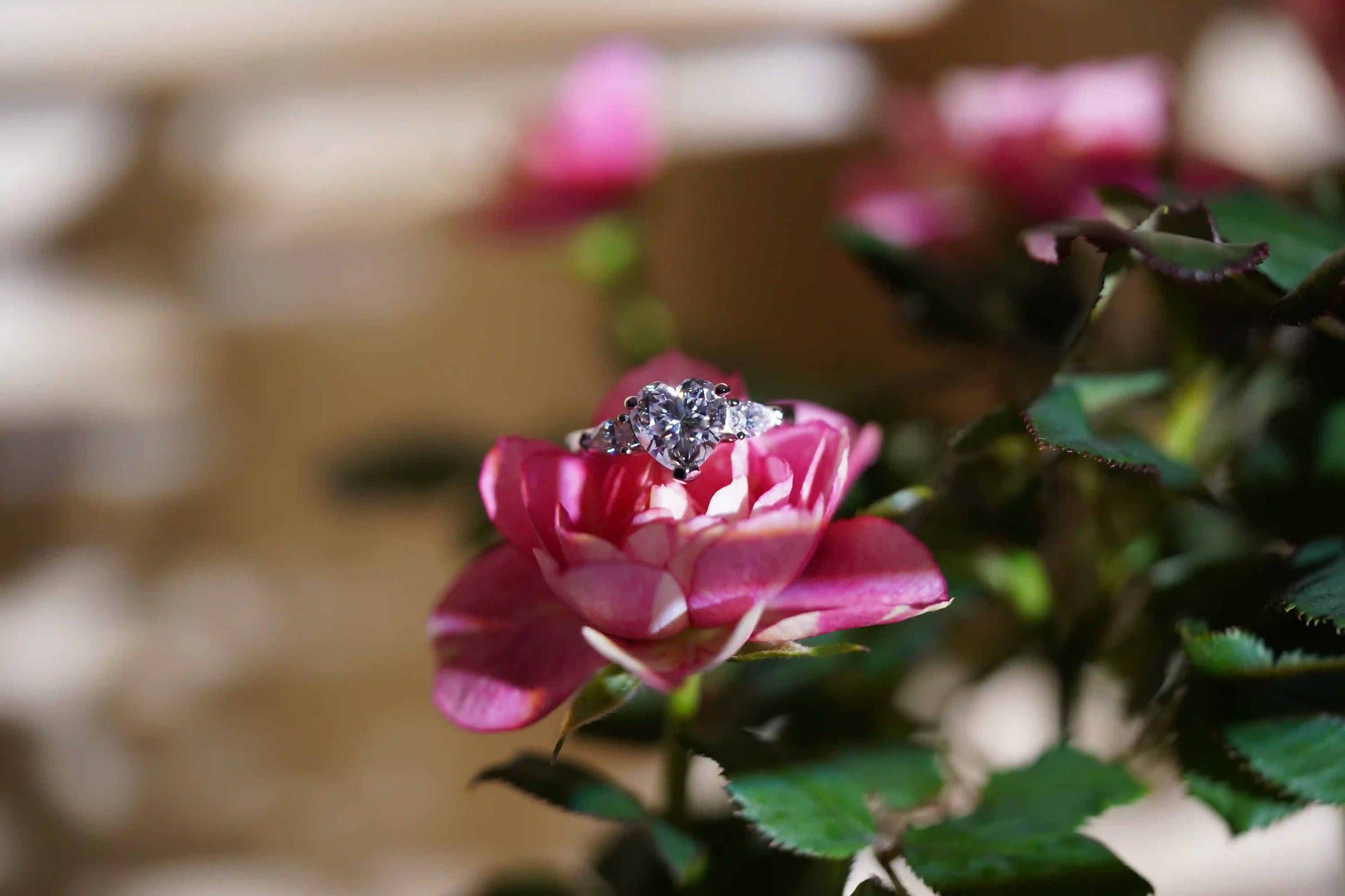 Romantischer Moissanite Schmuck Herz Ring aus Sterling Silber für Damen auf einer Blume abgelegt