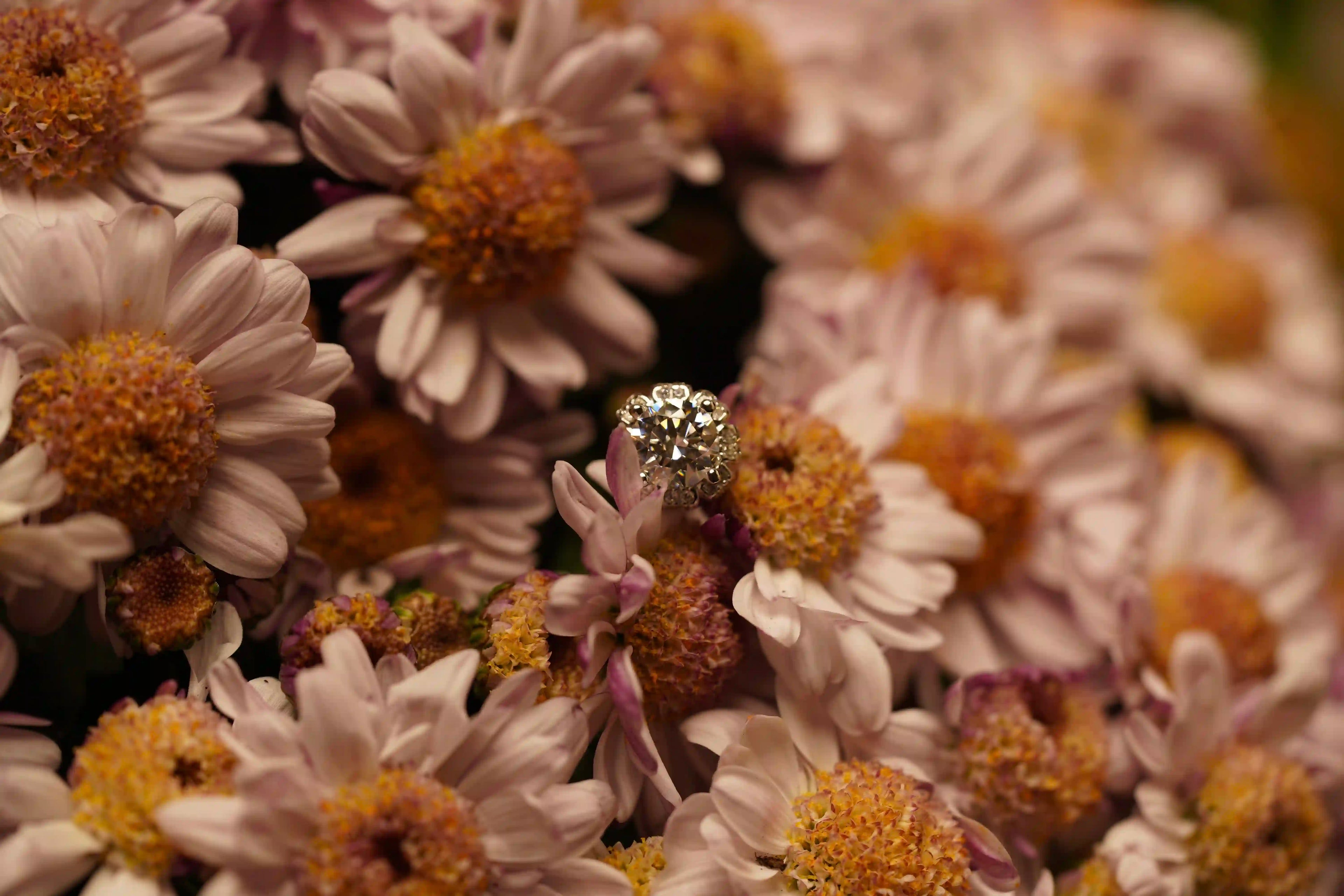Damen Moissanite Schmuck Ostecker im Blüten design mit kleinen und großen Schmuck Steinen