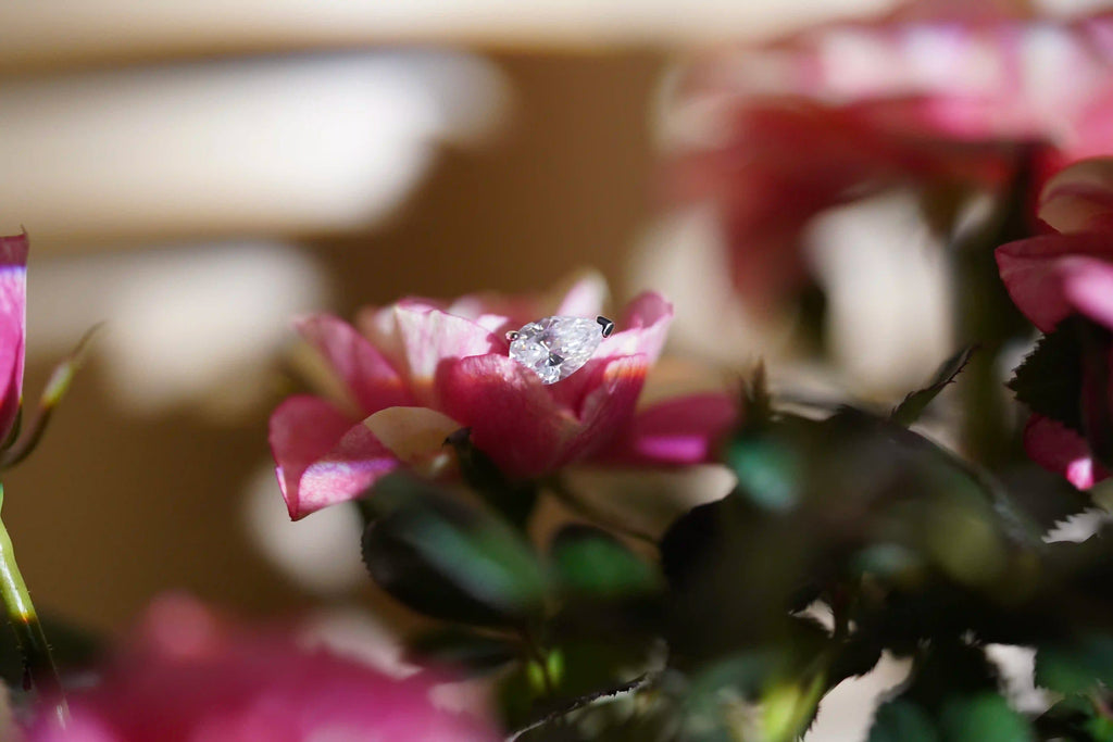 Auf einer Blume abgelegte Moissanite Schmuck Ohrstecker im Birnen oder Tropfen Schliff 