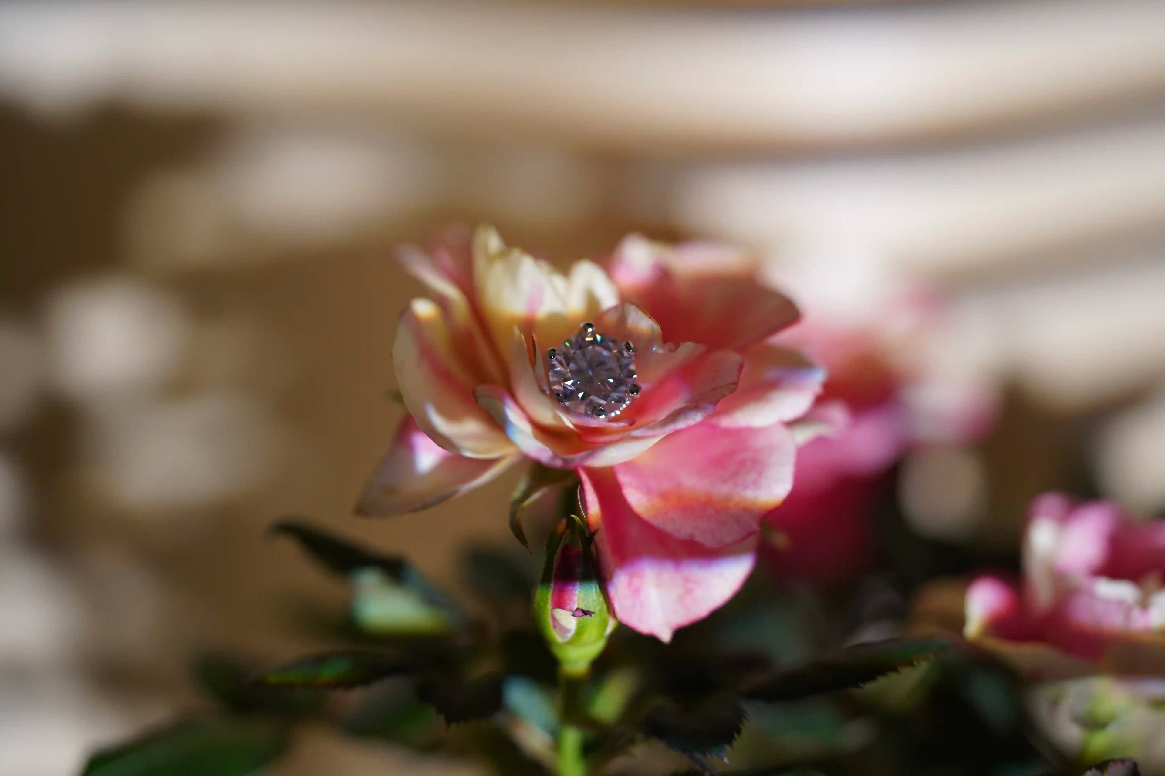 Moissanite Ohrstecker für Damen mit Schraubverschluss aus 925 Sterling Silber auf einer Blume liegend