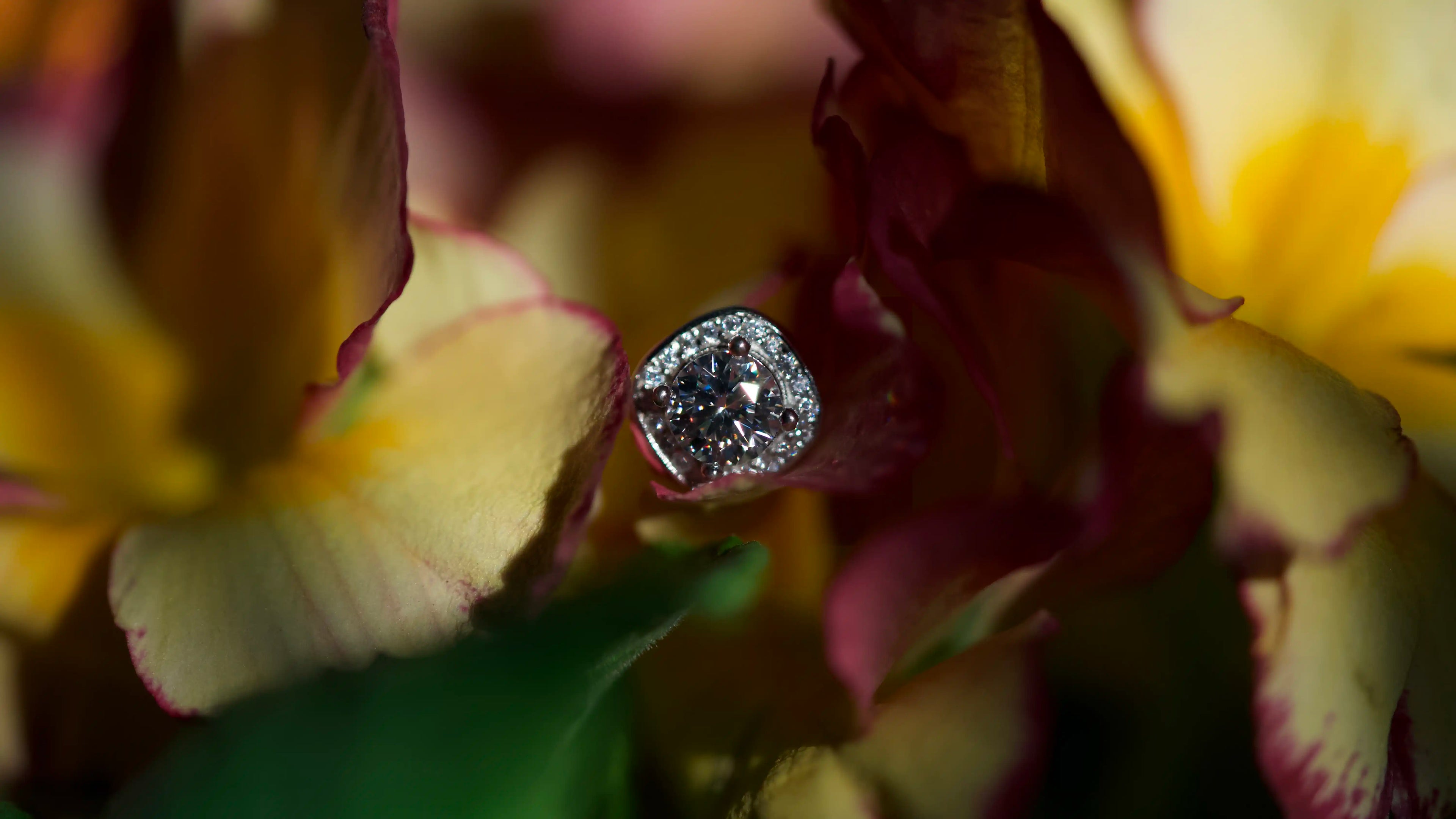 Elegante eckiger Moissanite Halo Ohrstecker Mit 1ct Moittanite Stein und Zirkonia Halo drum herum 