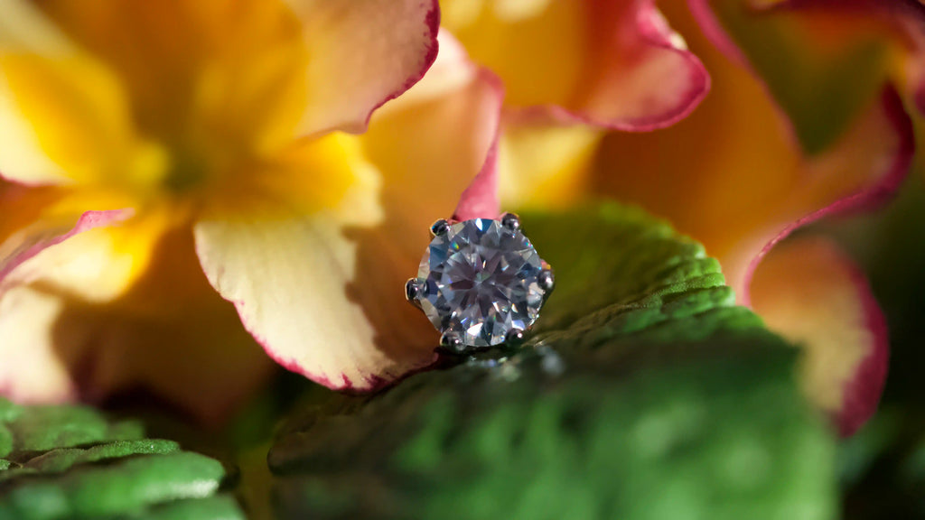 Moissanite Schmuck Ohrstecker für Damen auf eine Blume abgelegt, leuchte im Schatten klar