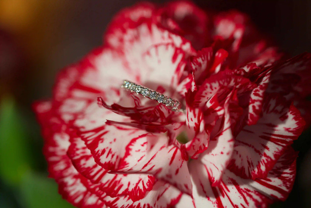 Echte Makroaufnahme von mini Huggies Creolen mit kleinen 1,2mm Moissaniten im echten Licht auf einer rot weißen Blüte. Intensives Funkeln stärker als bei Diamanten mit diamantähnlicher Härte. Zeitloser 925 Silber & Weißgold Schmuck für den Alltag und langlebige Geschenke die in Erinnerung bleiben.