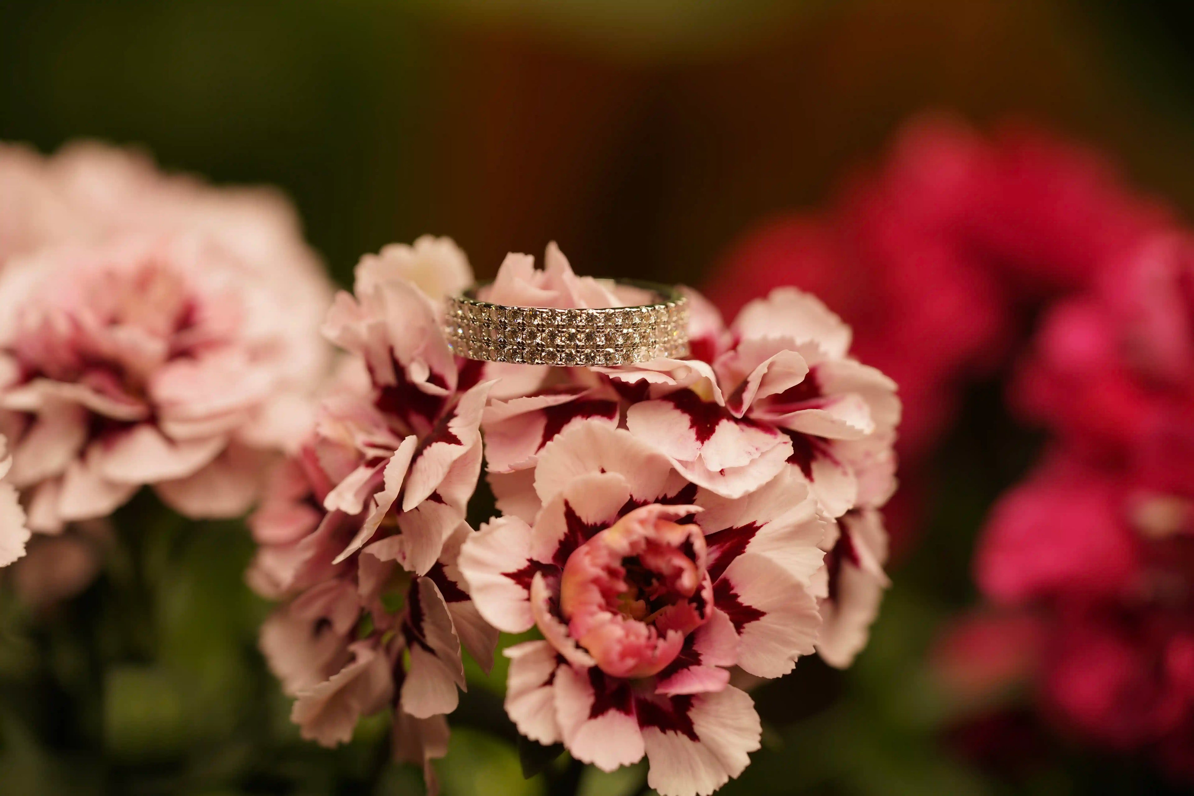 Echte Makroaufnahme: Moissanit Eternity Ring auf Blume – starkes Funkeln stärker als Diamant, 925 Silber & Weißgold, kein KI