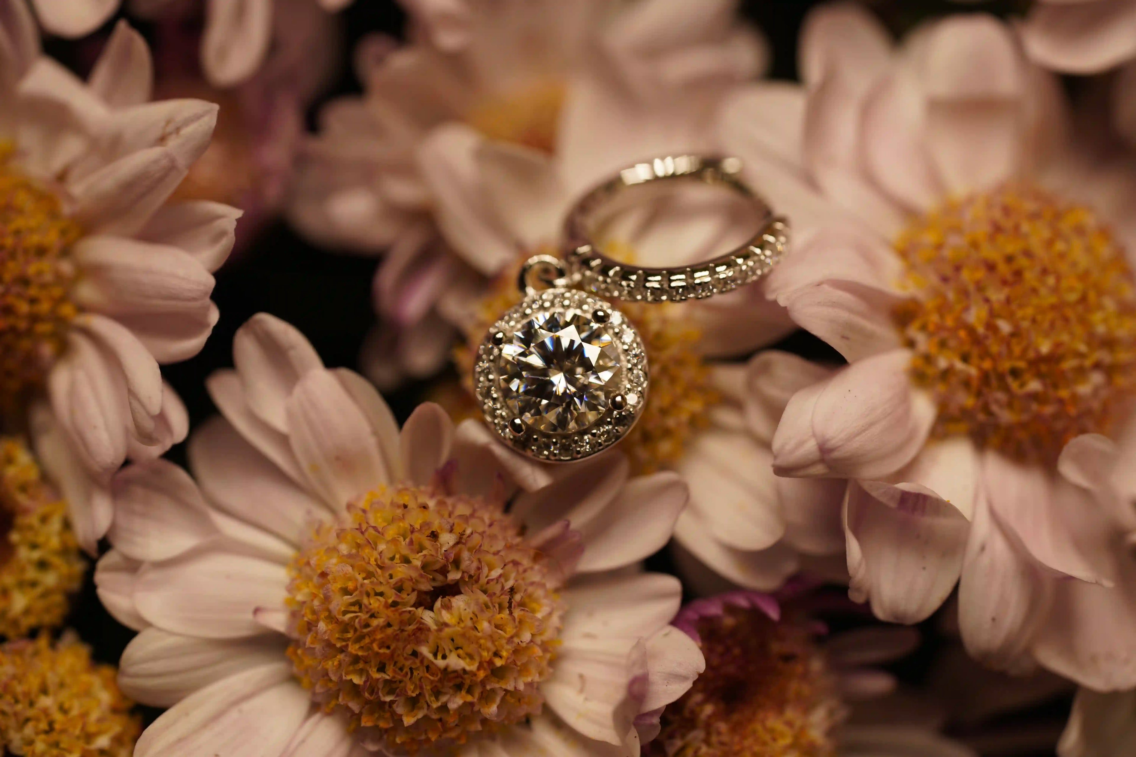 Echte Makroaufnahme: Moissanit Halo Anhänger und Ring auf Blume – intensives Funkeln stärker als Diamant, 925 Silber & Weißgold, kein Fake