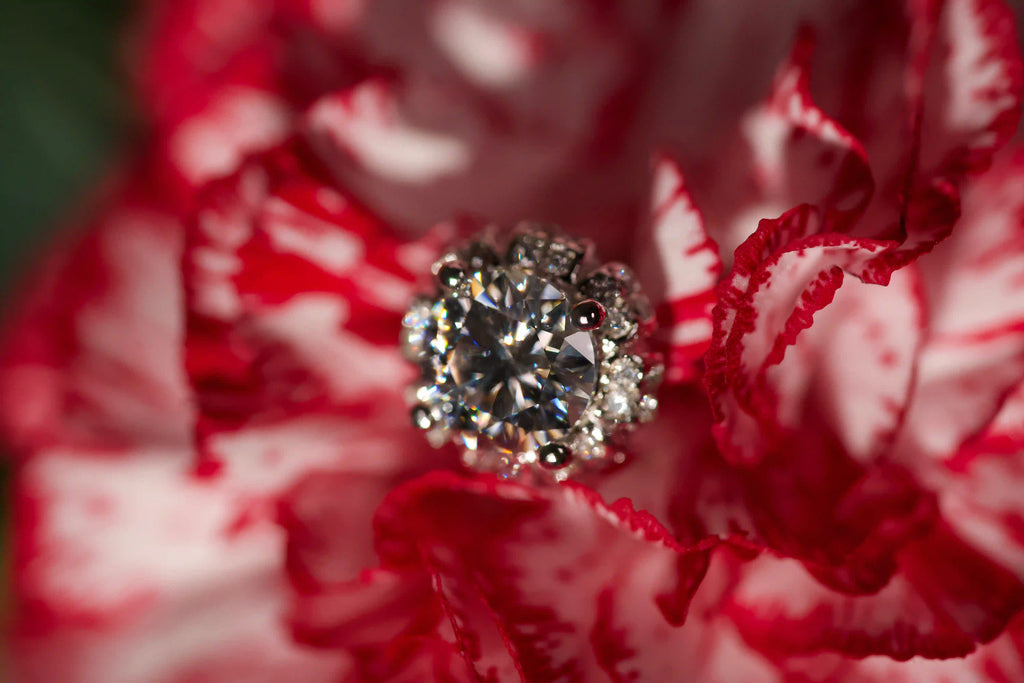 Echte Makroaufnahme von Moissanite Blüten Ohrsteckern im echten Licht auf einer rot weißen Blüte. Intensives Funkeln stärker als bei Diamanten mit diamantähnlicher Härte. Zeitloser 925 Silber Schmuck als robustes Geschenk für den Alltag und Erinnerungen die bleiben.
