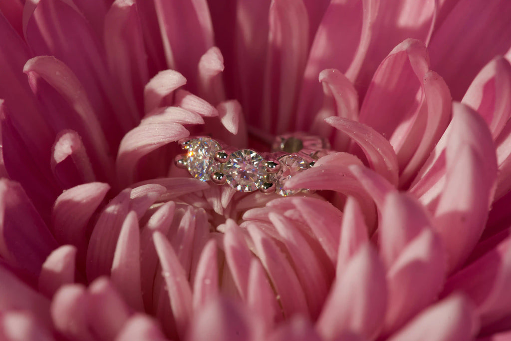 Moissanite Creolen Ohrringe mit kleinen runden Steinen im Brillantschliff – starkes Funkeln stärker als Diamanten – 925 Silber & Weißgold – echte Fotos auf rosa Blüte