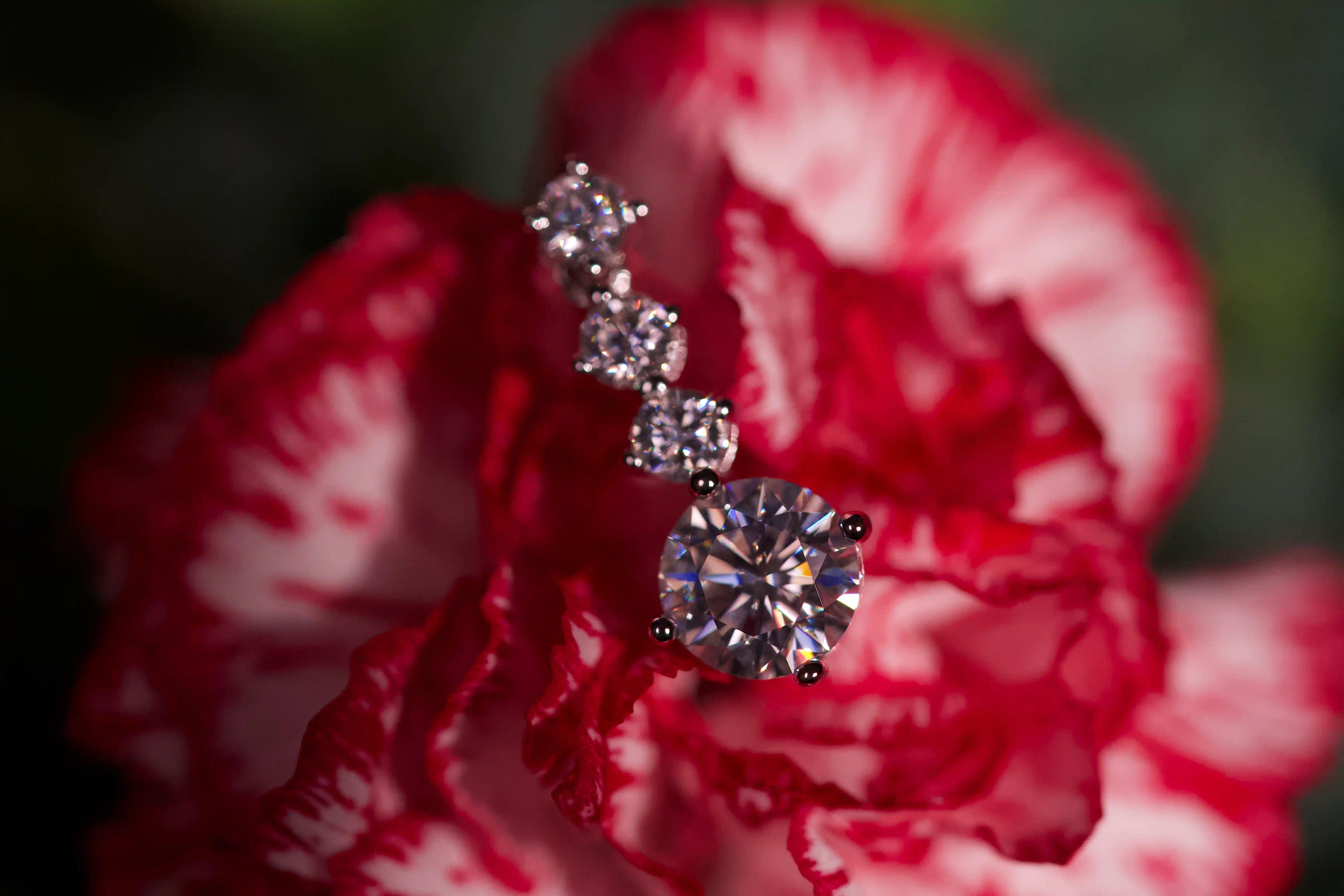 Echte Makroaufnahme von Moissanite Hängeohrringen im echten Licht auf einer rot weißen Blüte. Intensives Funkeln stärker als bei Diamanten mit diamantähnlicher Härte. Eleganter 925 Silber Schmuck für besondere Geschenke und langlebiges Tragen im Alltag.