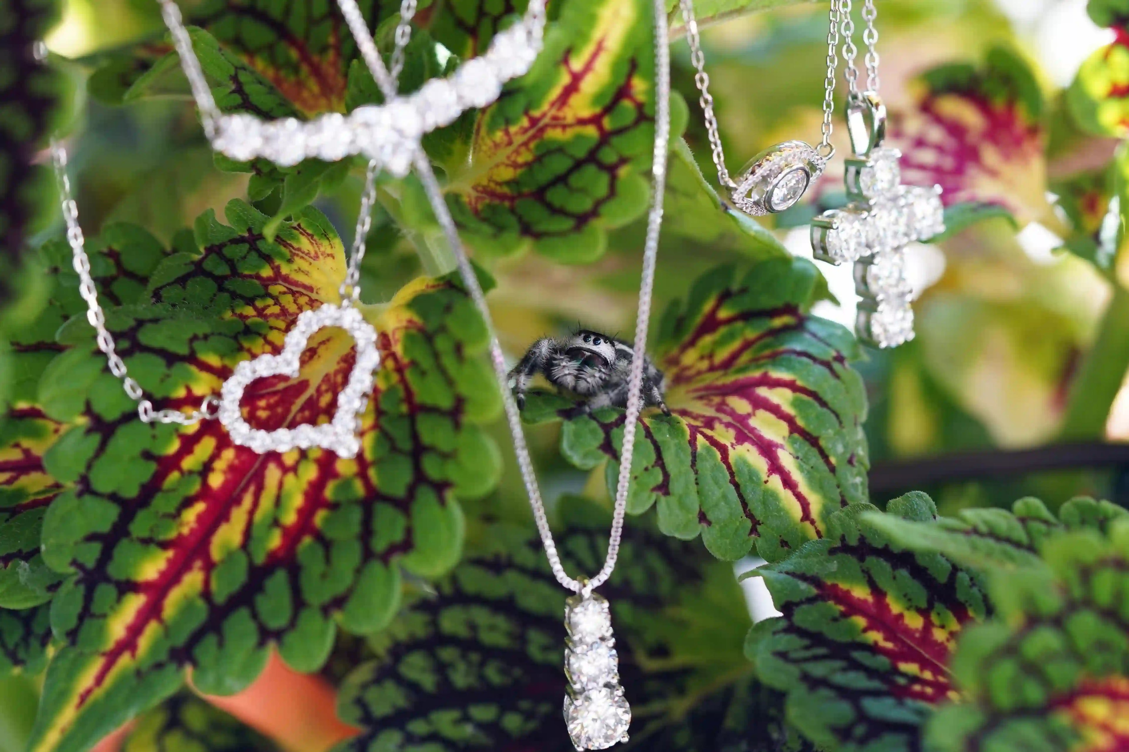 mehrere moissanite halsketten mit herz kreuz und stein anhänger aus silber zwischen grünen blättern makro schmuckfotografie im natürlichen licht
