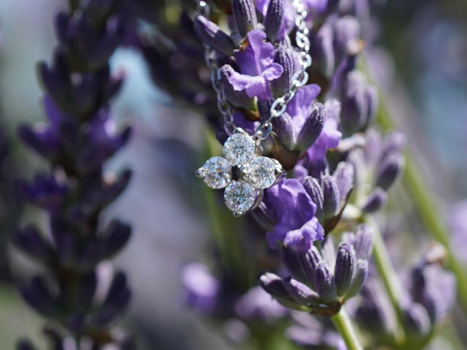 Glänzender Moissanit Kleeblatt-Anhänger in der Sommersonne, eingebettet in blühendem Lavendel