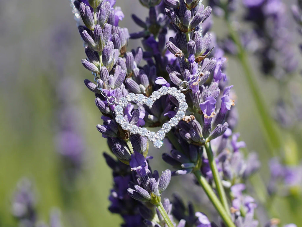 Glitzernde Herzanhänger-Kette aus Moissanit vor lila Lavendelblüten
